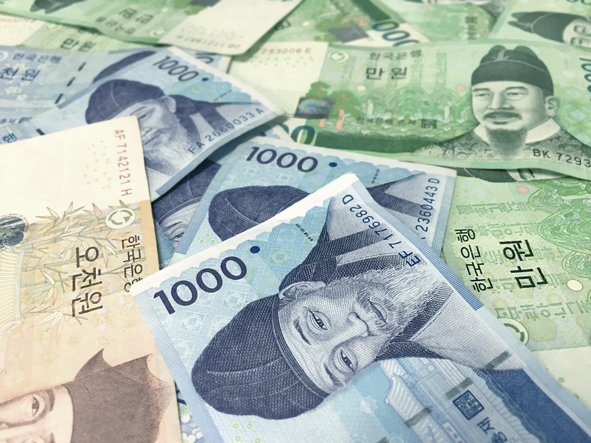 korea money, investment, lot, bills, paper currency, payment, finance, full frame, asia, storage, choice, assorted, still life, tax, human representation, HD Wallpaper