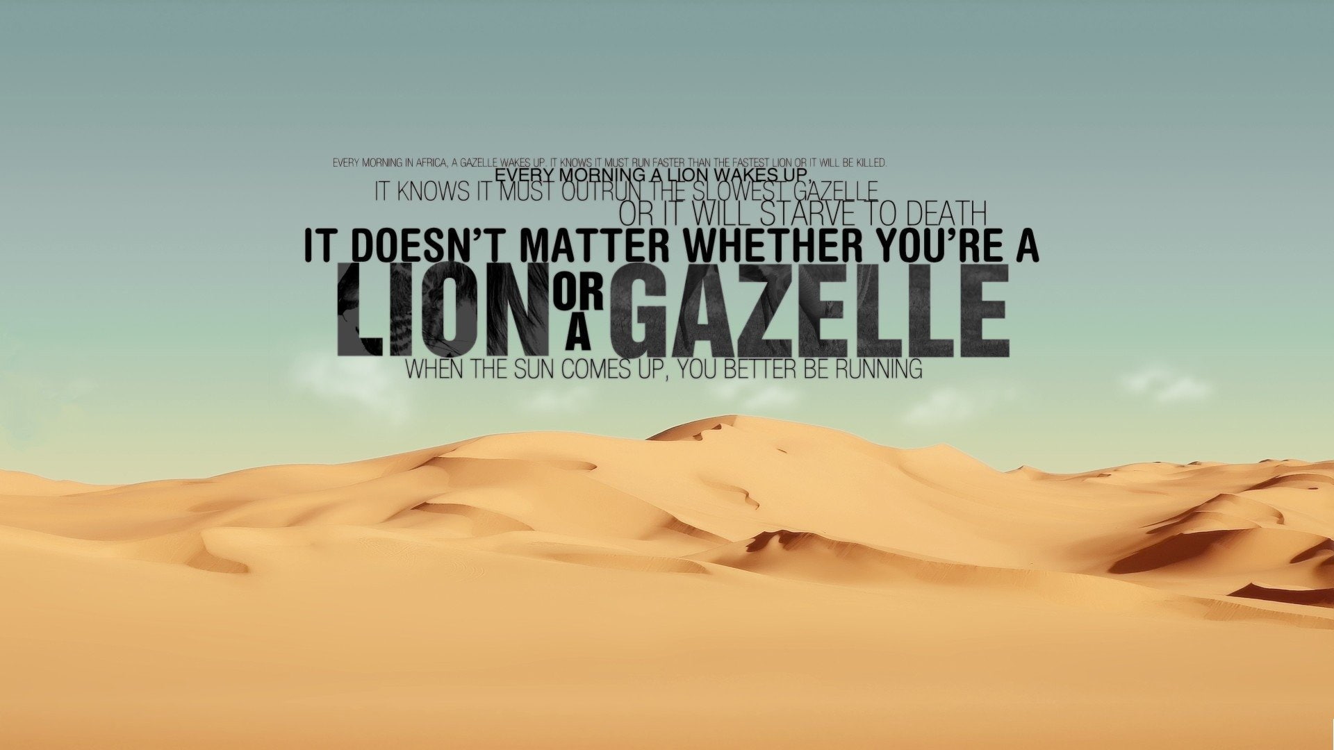 Quote, Desert, Statement, 1080P, Misc, Typography, Citation, HD Wallpaper