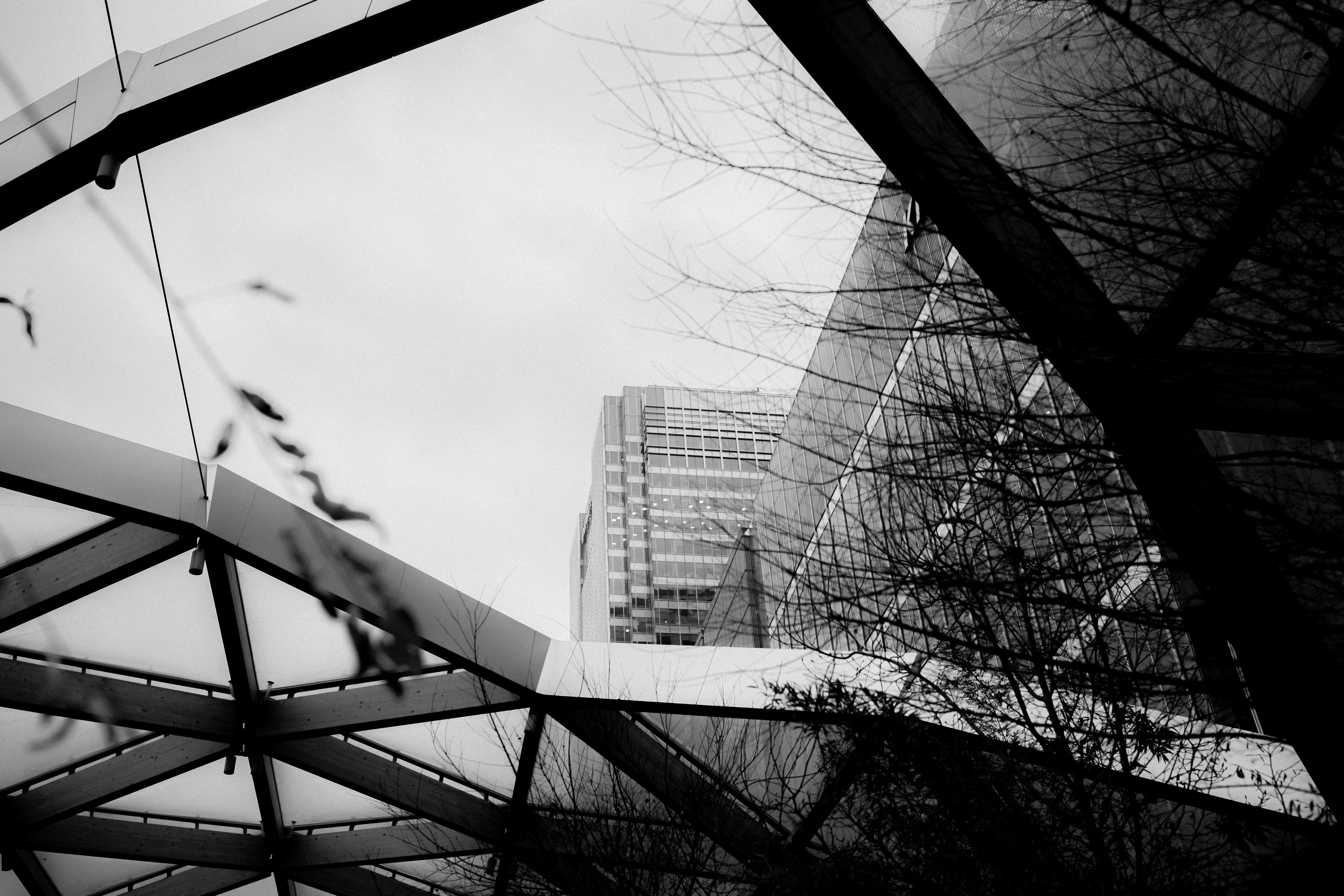 constaction, buklding, plant, building exterior, bare tree, bullion g, metal, 5K, low angle view, london, countryside, glass - material, day, building, HD Wallpaper