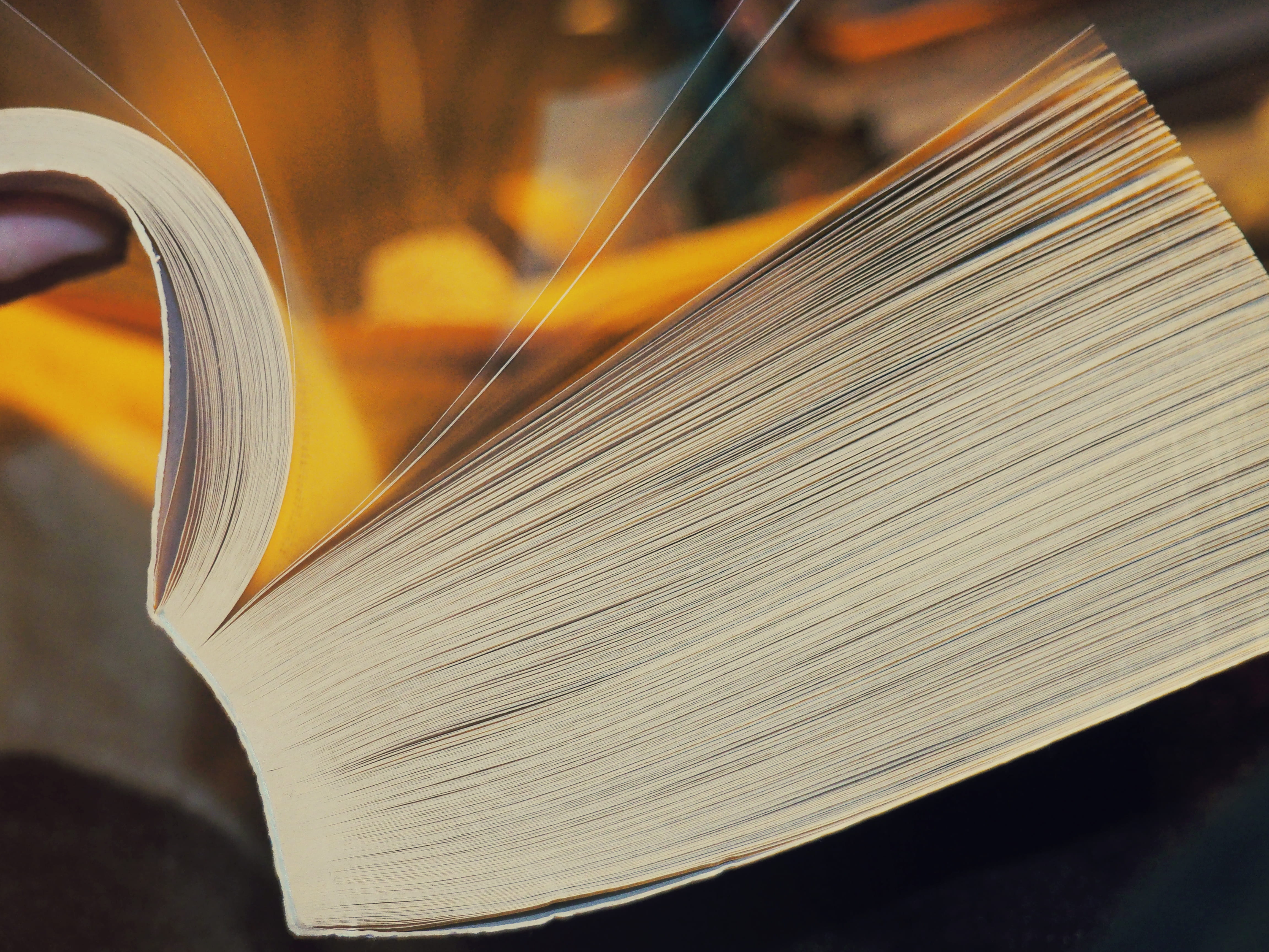 encyclopedia, focus, art and craft, book, yellow, close-up, studio shot, equipment, textile, craft, wood - material, textile industry, 4K, book pages, HD Wallpaper