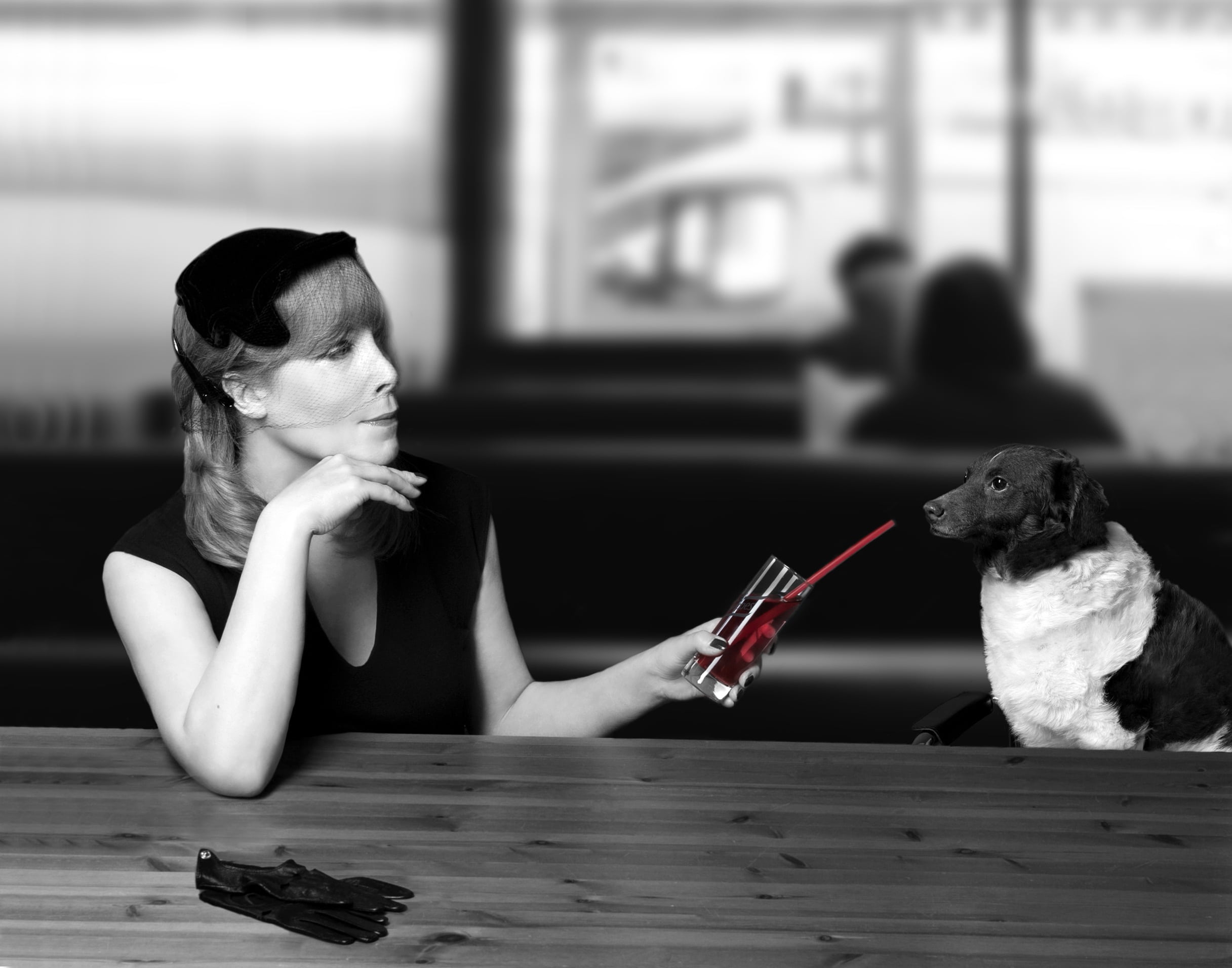 woman, focus on foreground, pets, table, day, one person, adult, vierbeiniger friend, people, cocktail, sitting, portrait, young adult, photo, childhood, HD Wallpaper