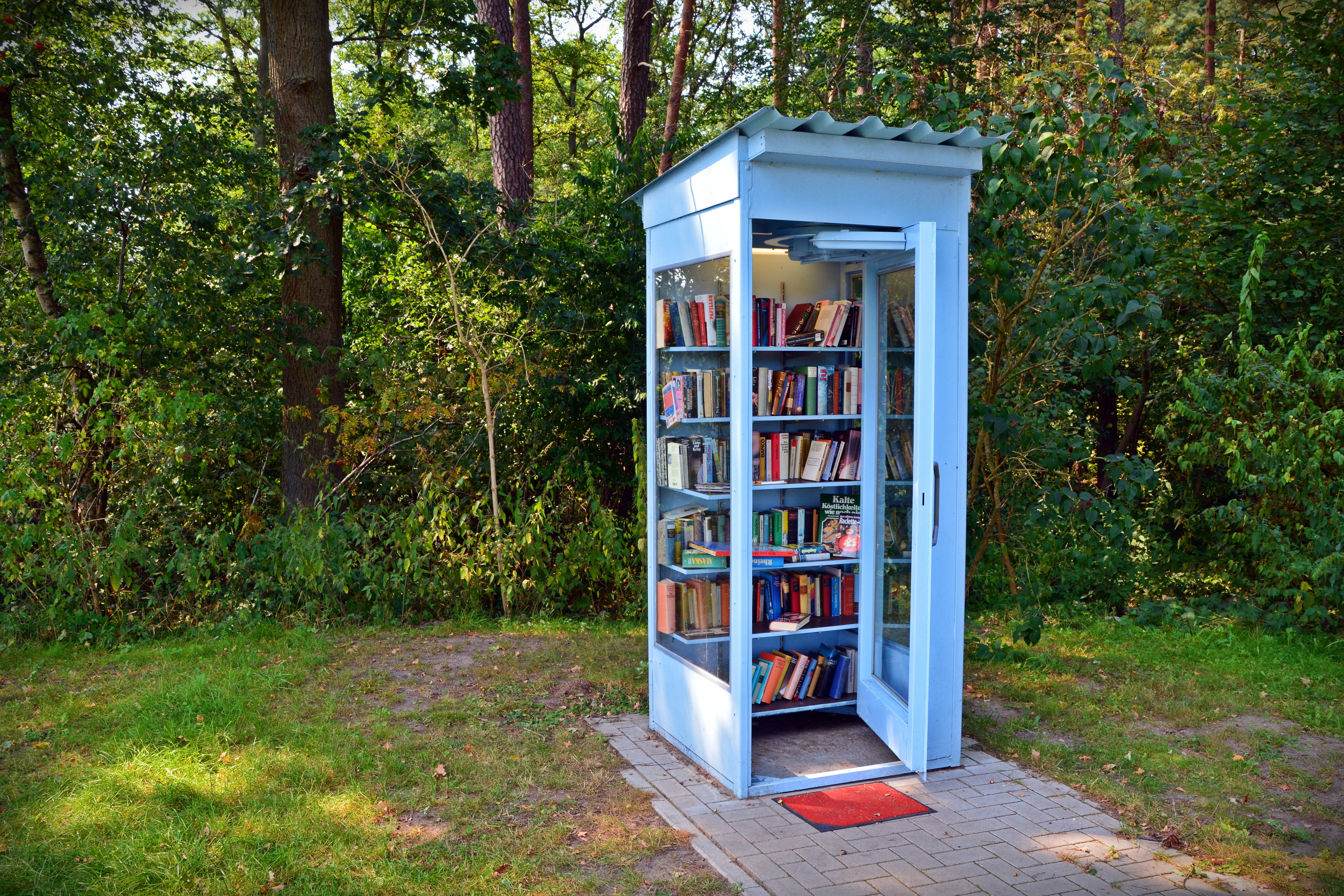 technology, grass, day, books cell, land, forest, shelf, green color, telephone, Books, nature, outdoors, field, publication, no people, Borrow, plant, HD Wallpaper