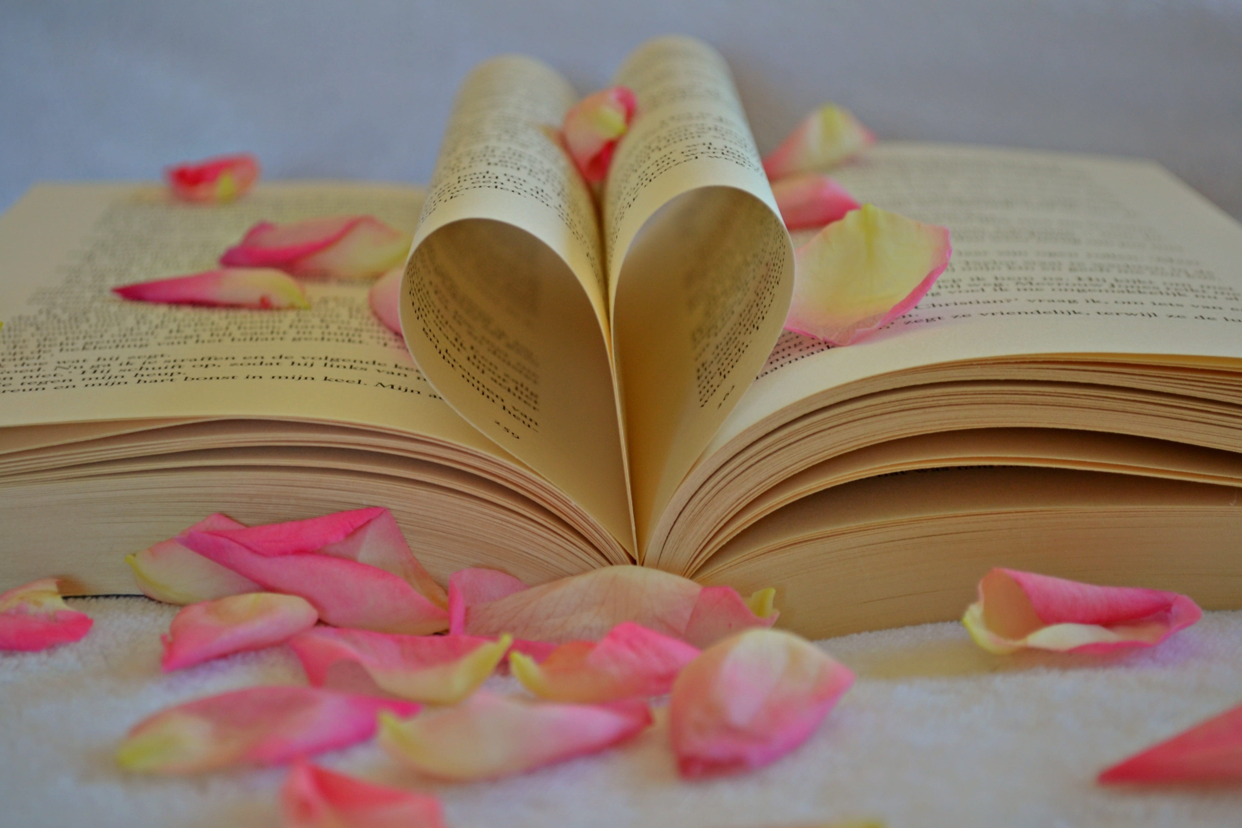blur, book, in love, focus, no people, beauty in nature, rose petals, reading, literature, plant, still life, flower, knowledge, rose, heart, studying, HD Wallpaper