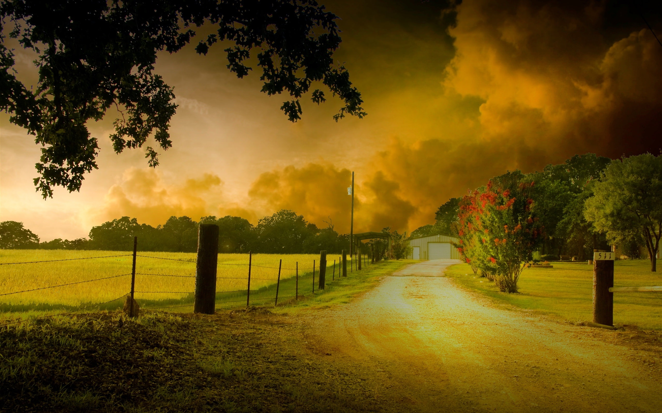 Road, Scenery, Dusk, Leaves, Yellow, House, Trees, HDR, Nature, 2K, HD Wallpaper