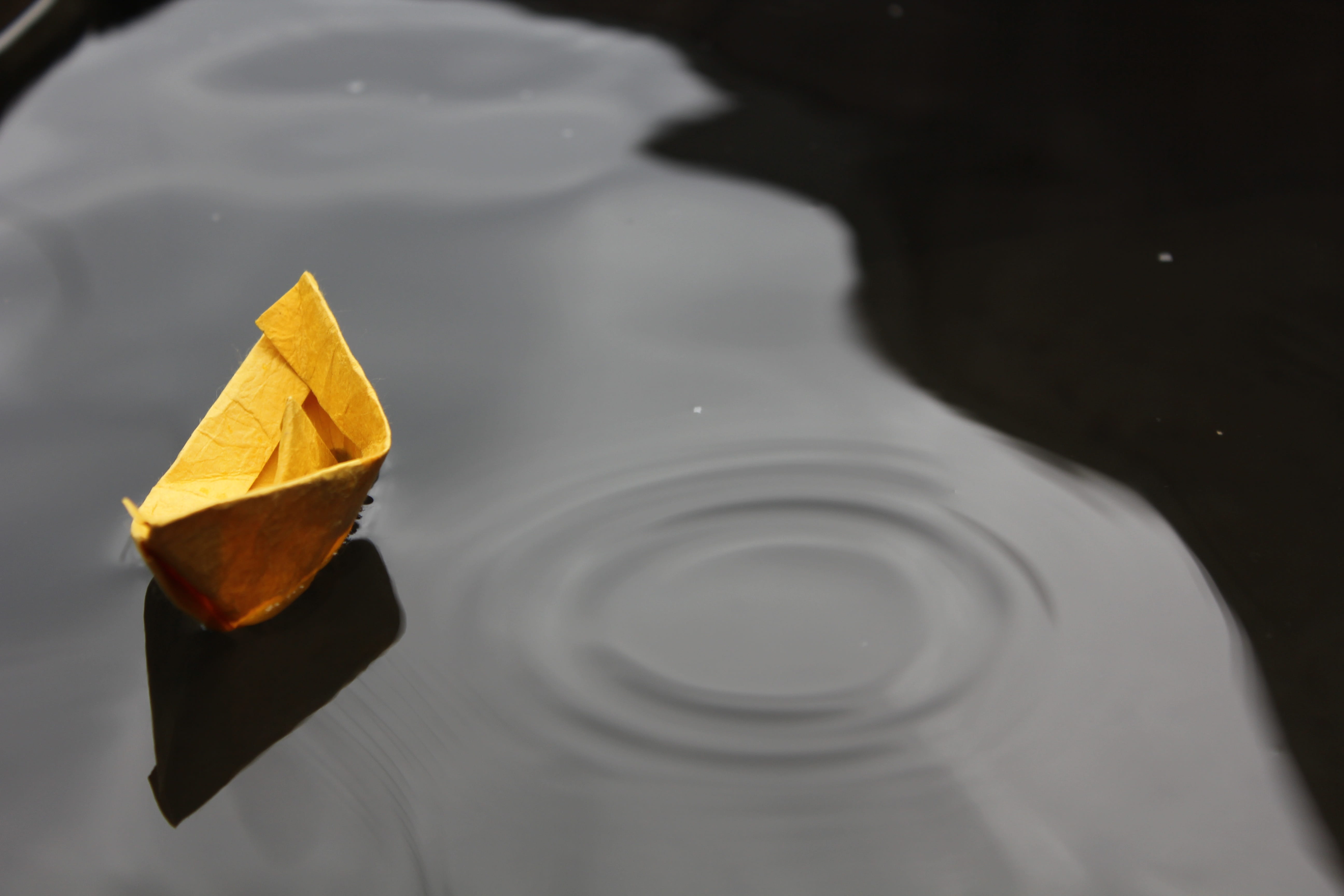 5K, leaves, high angle view, childhood, leaf, boat, close-up, nature, paper, day, waterfront, fun, floating, autumn, change, reflection, no people, body, HD Wallpaper