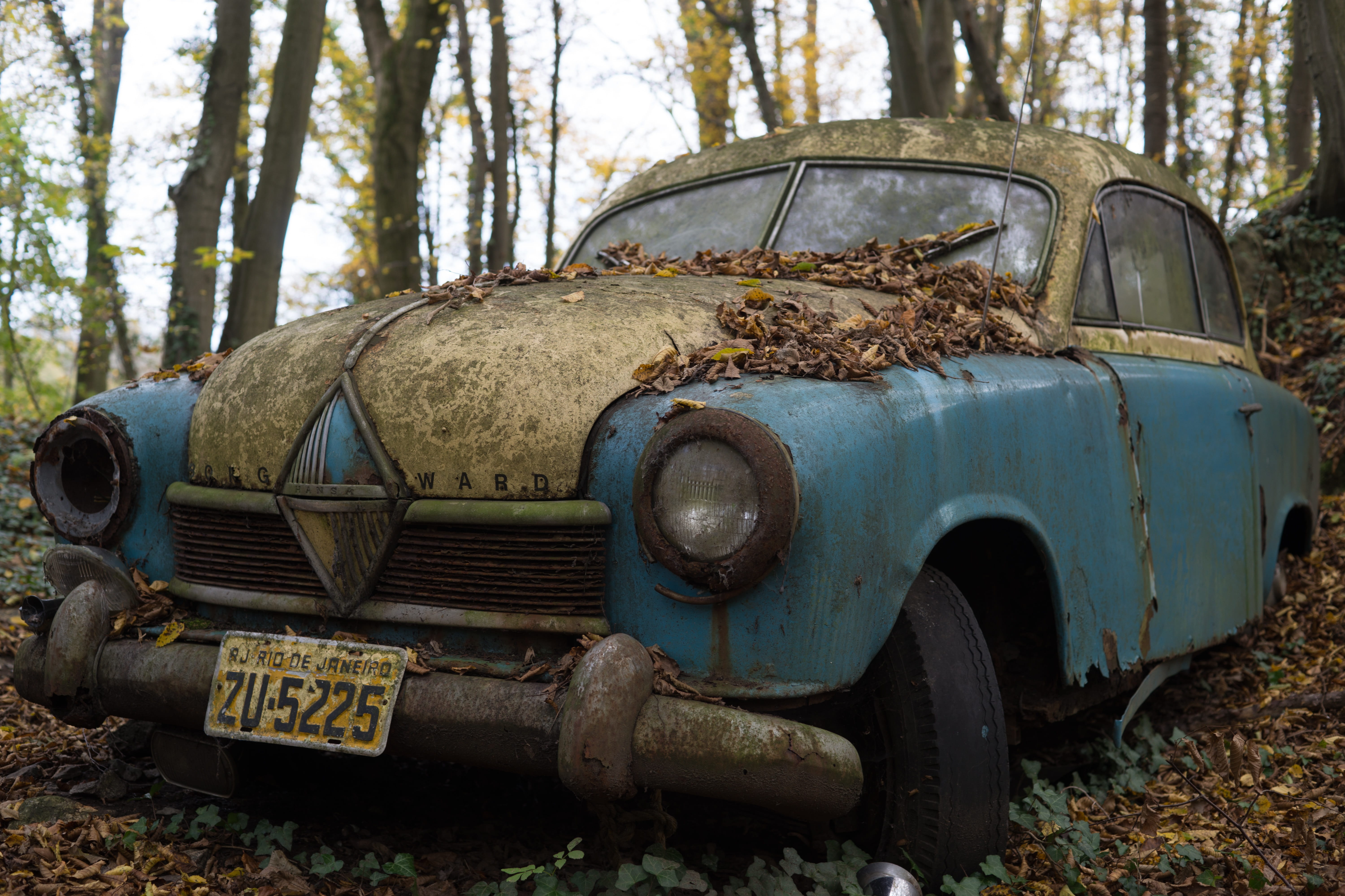 land vehicle, woodland, forgotten, neglected, 1950s, corroded, blue, transportation, motor vehicle, abandoned, 5K, vintage, car, deterioration, weathered, HD Wallpaper