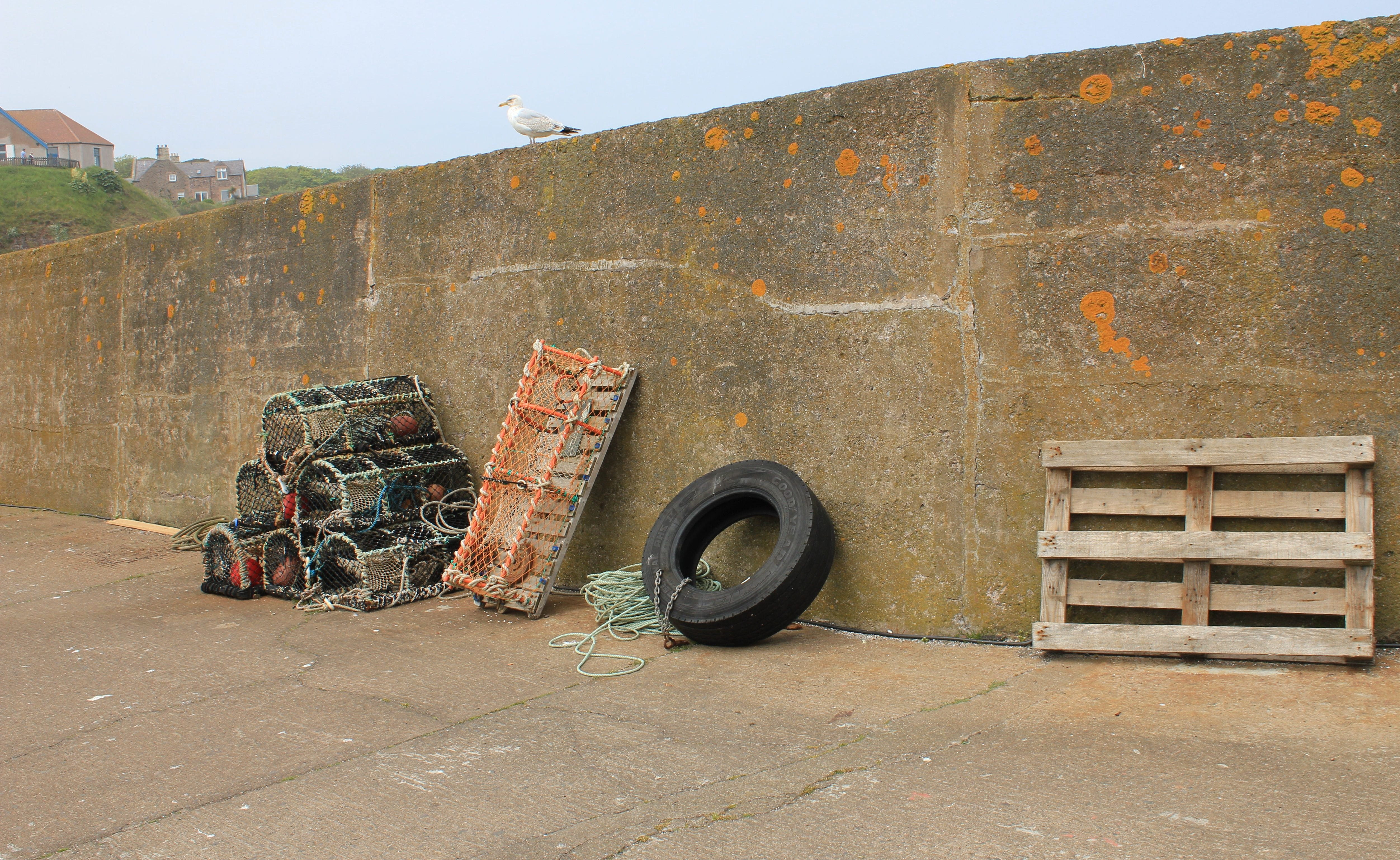 large group of objects, creel, lobster pot, harbour, day, heap, container, stack, garbage, built structure, architecture, rubber tyre, seagull, building exterior, HD Wallpaper