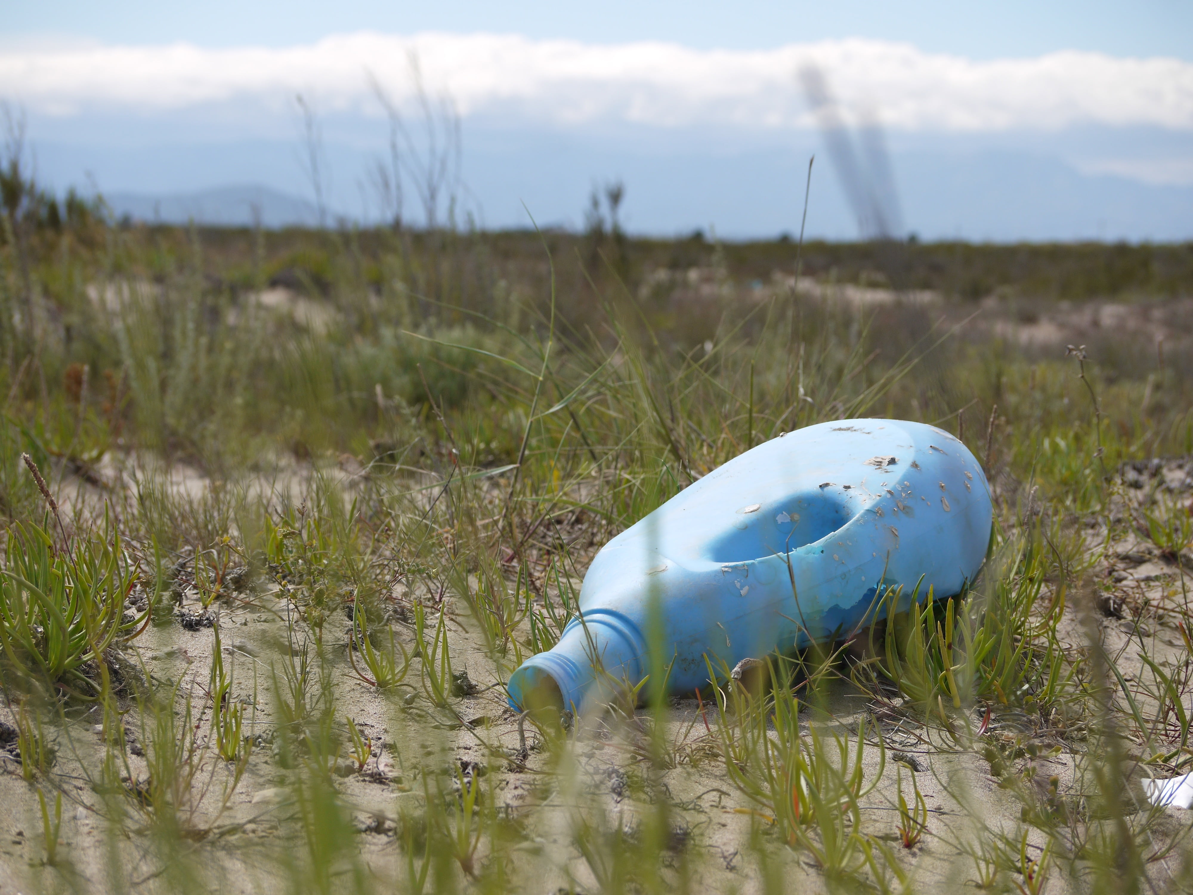 4K, focus on foreground, green color, plant, ground, bottle, wasteland, selective focus, environment, nature, selective, waste, rubbish, day, land, growth, HD Wallpaper