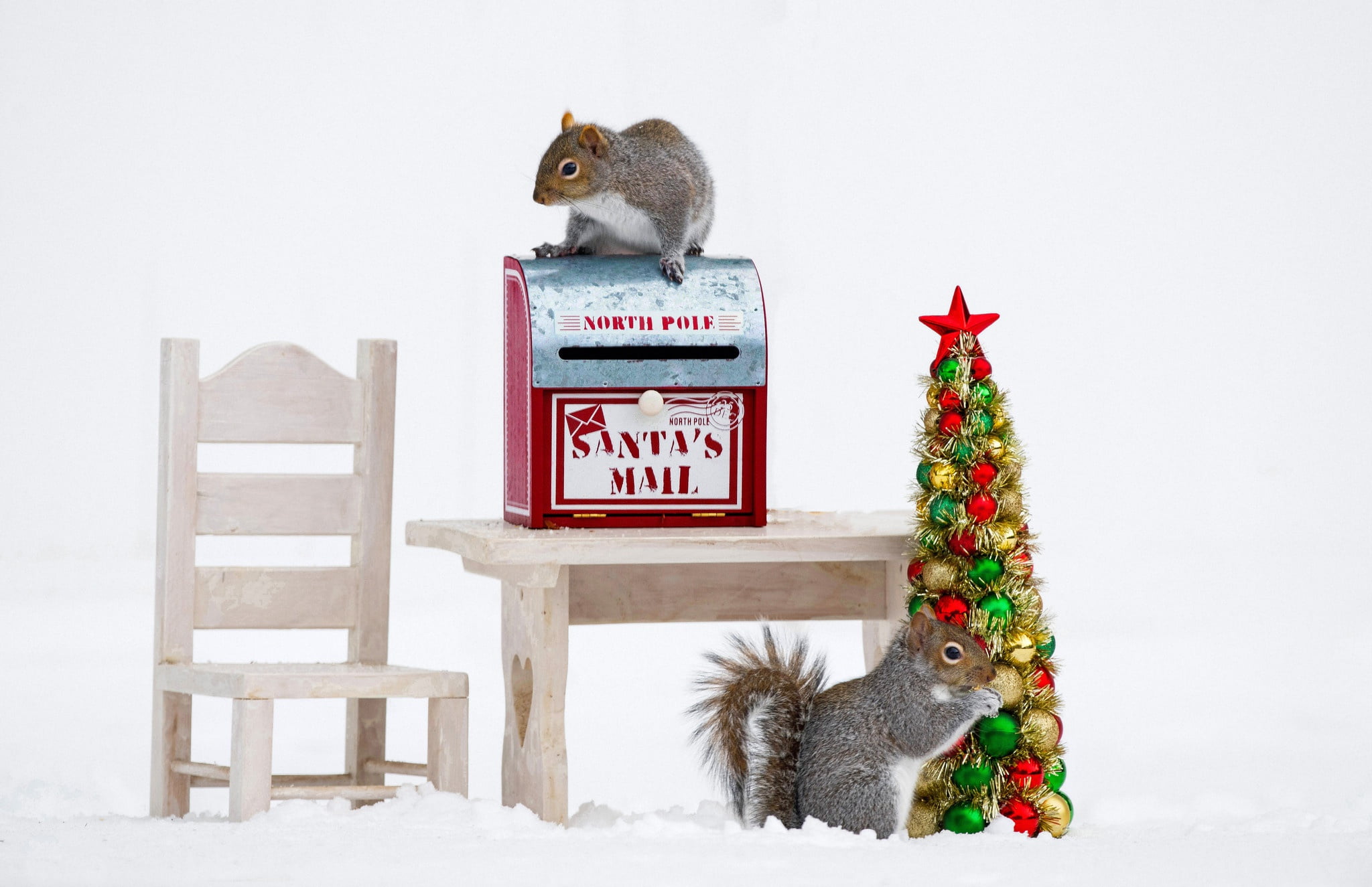 Christmas, New year, 1080P, tree, proteins, chair, mail Santa, table, Inbox, HD Wallpaper
