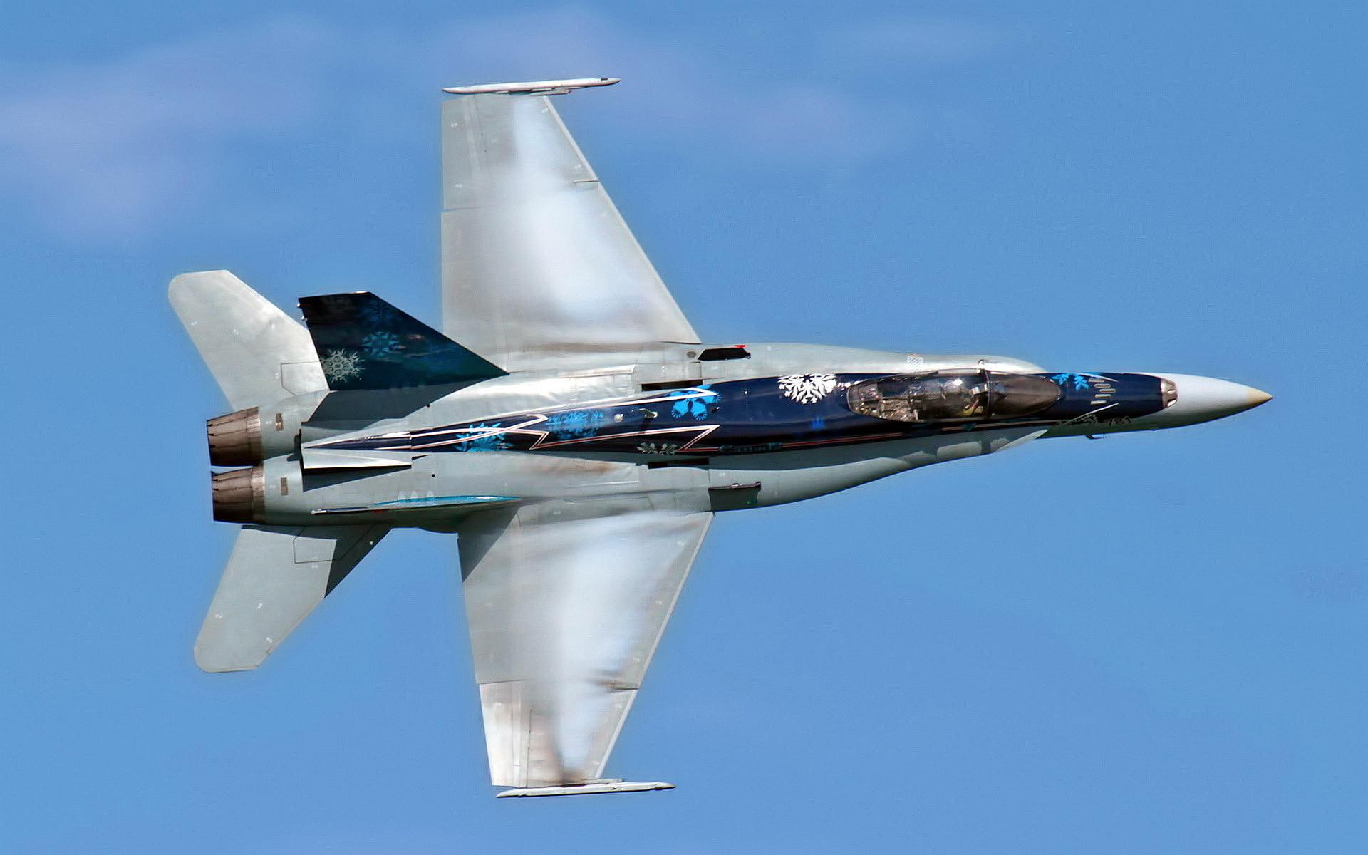 jet fighter, cf, 1080P, hornet, HD Wallpaper