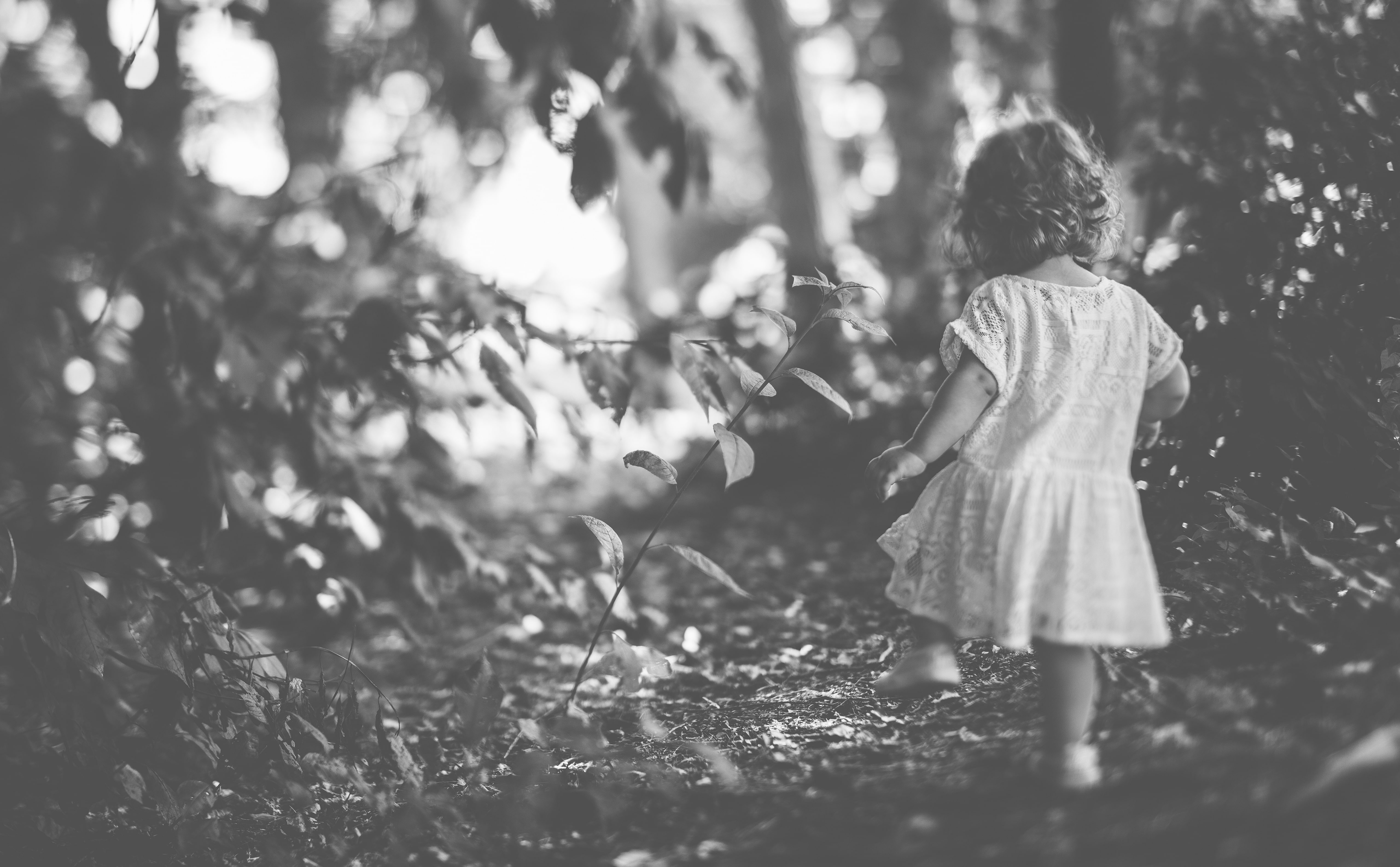 forest, Outdoors, leisure activity, 5dmiii, Lifestyle, steps, hairstyle, lifestyles, child, day, Motion, kids, Black and White, full length, standing, photo, HD Wallpaper