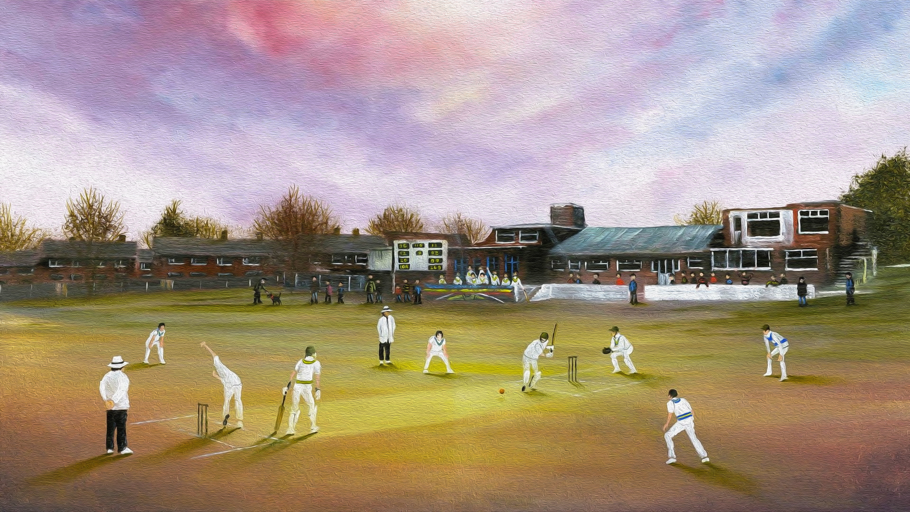 People, Artistic, Game, 4K, Cricket, Sports, HD Wallpaper