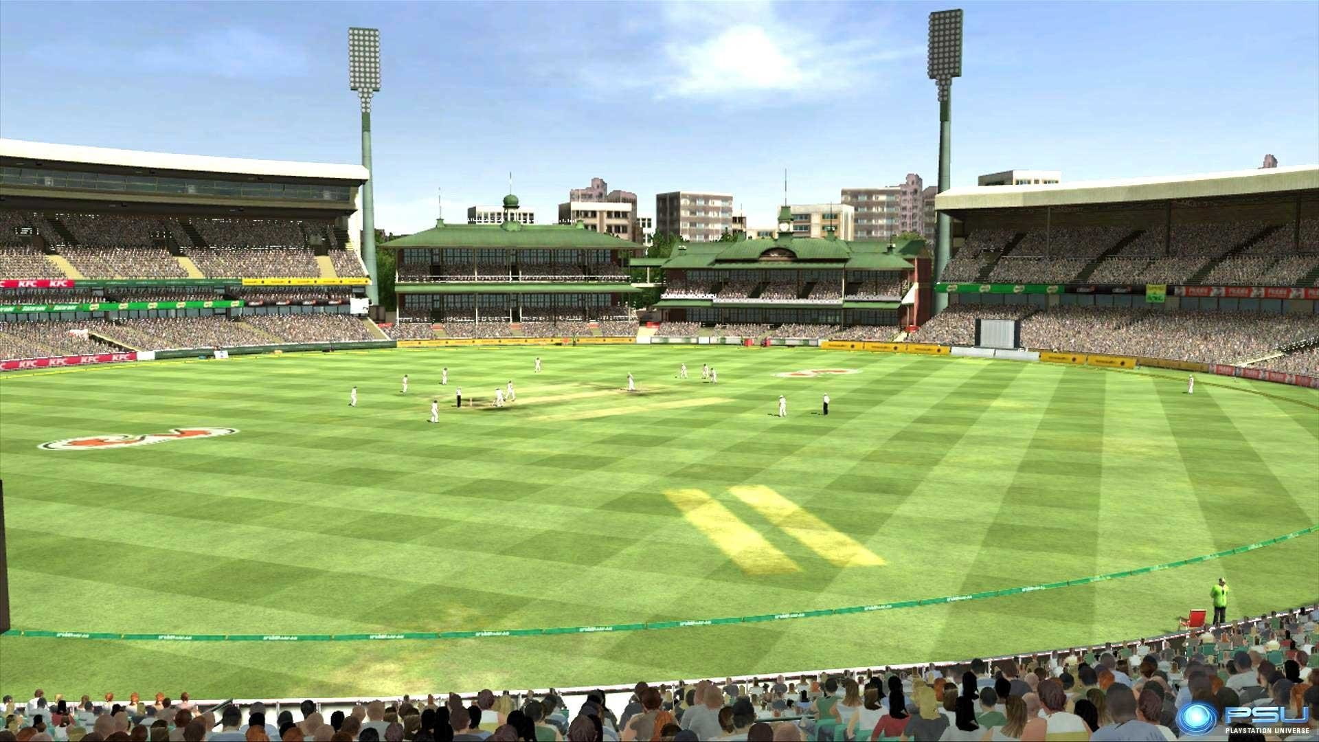 1080P, Cricket, HD Wallpaper