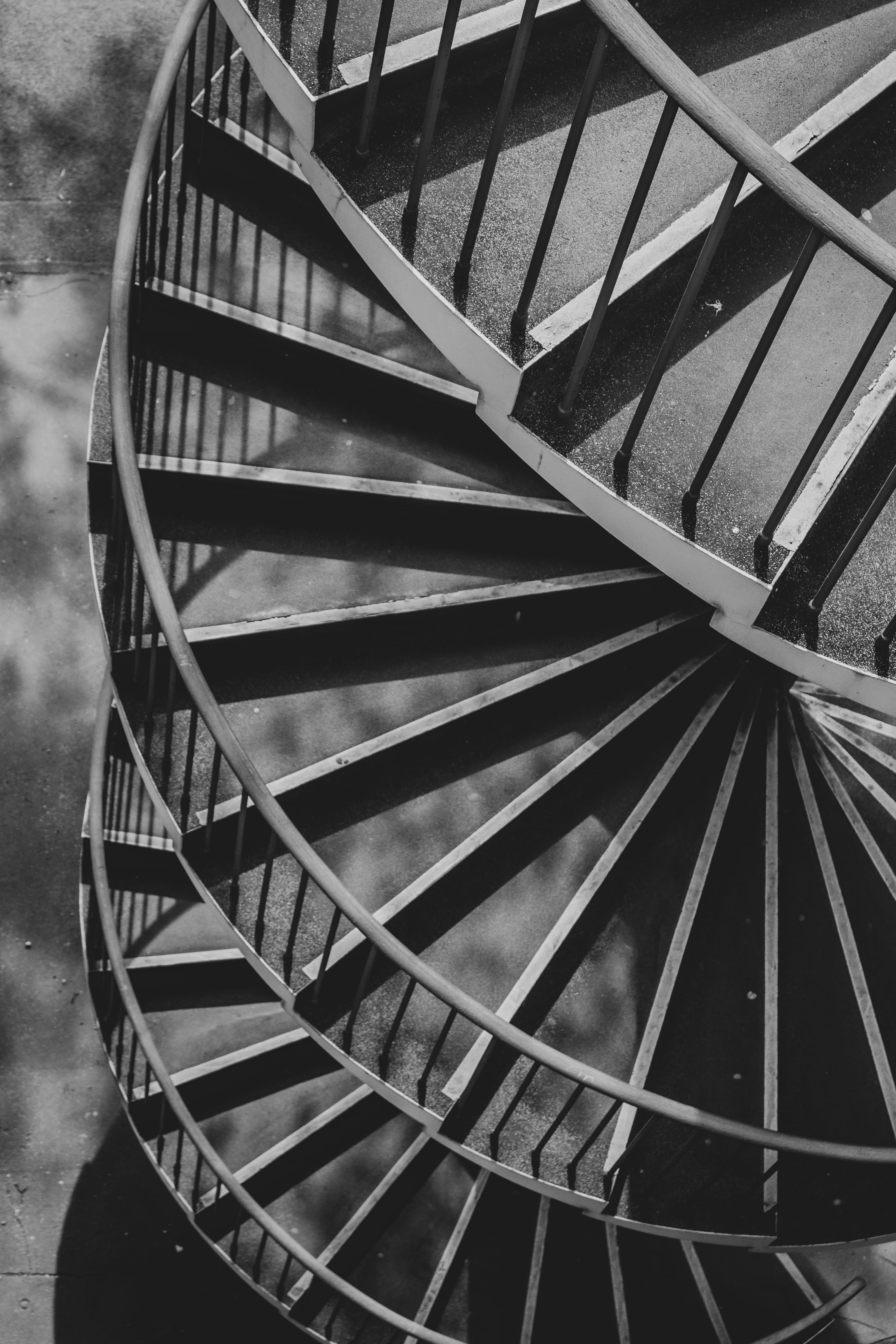 trap, building, bw, 4K, high angle view, insect, outdoors, photo, handrail, urban, invertebrate, steps and staircases, close-up, no people, nature, spiral staircase, Phone HD Wallpaper
