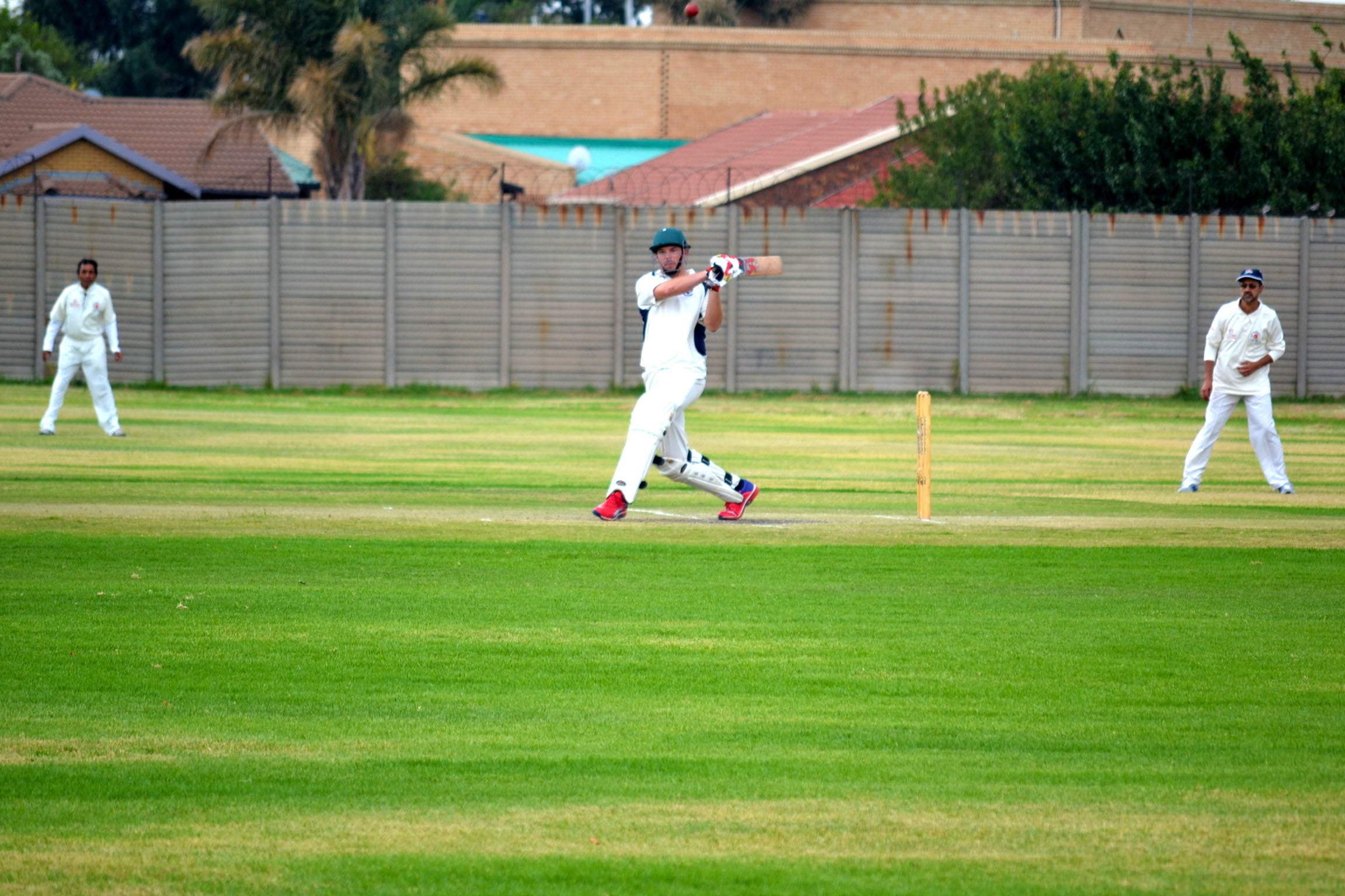 sport, full length, sportsman, men, contest, outdoors, group of people, day, people, green color, plant, shot, ball, cricketer, nature, motion, batsman, HD Wallpaper