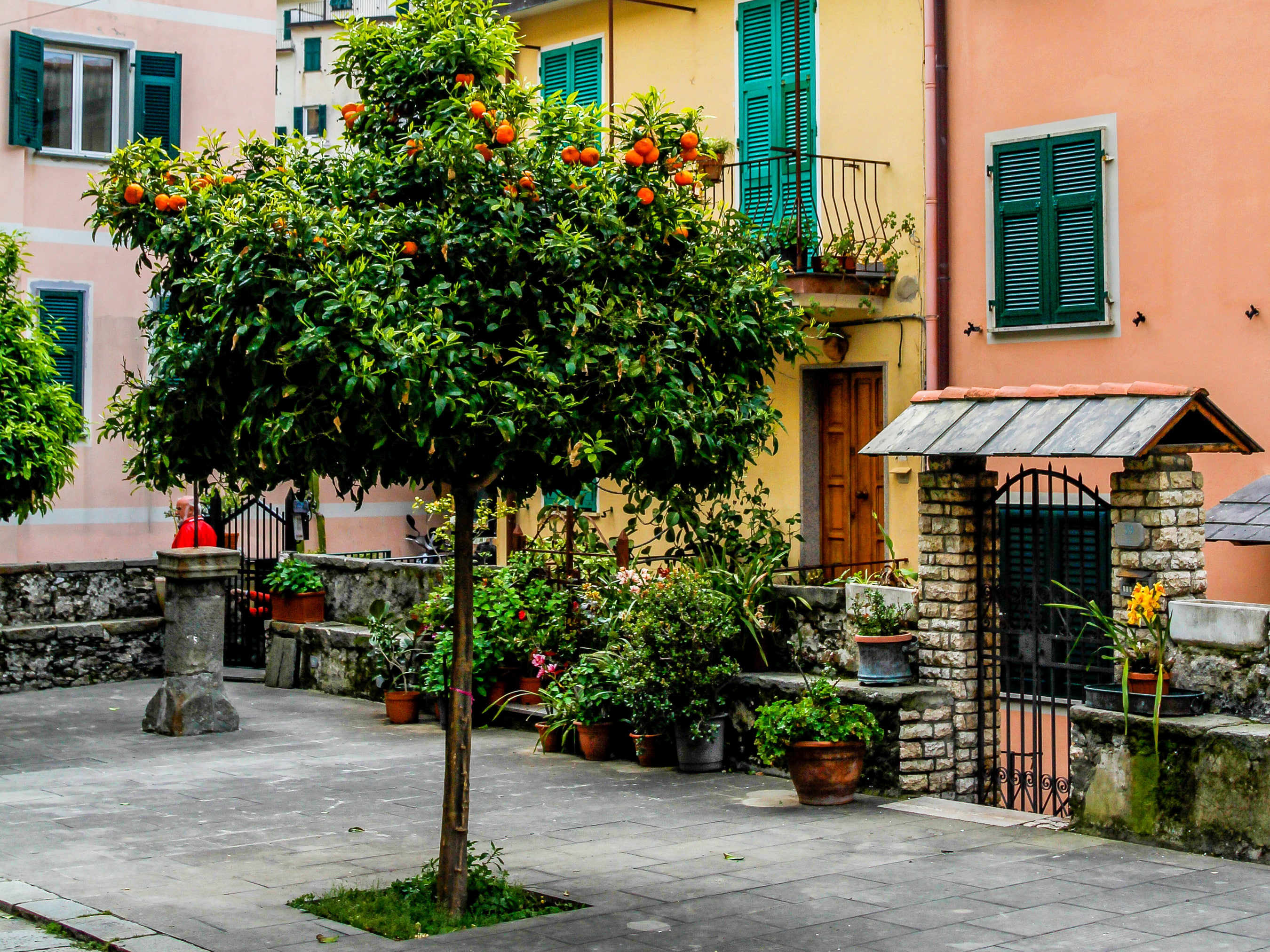 nature, built structure, day, 2K, near, city, no people, flowers, wicket, house, green color, street, building exterior, Italy, sidewalk, architecture, HD Wallpaper