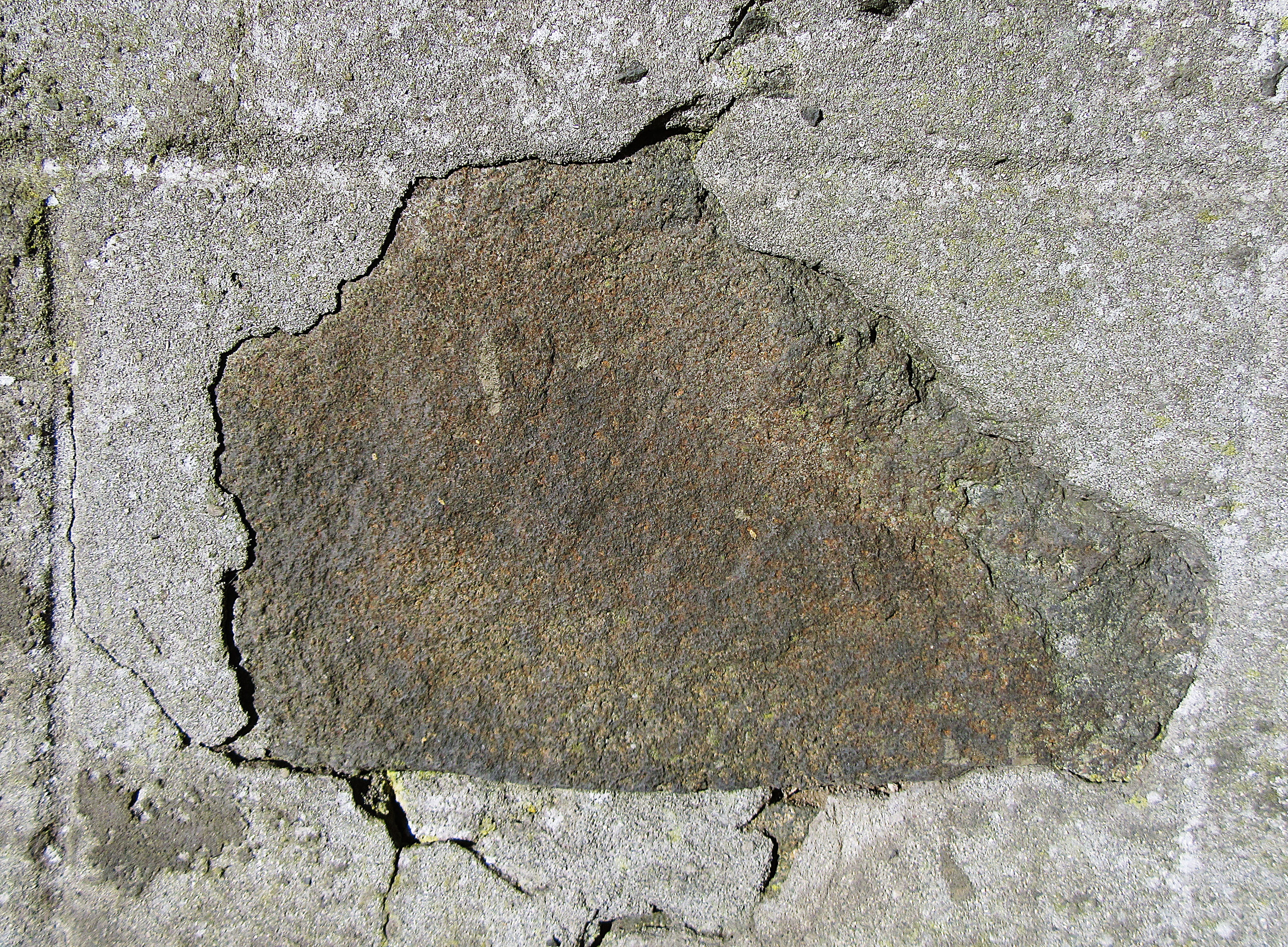 rough, mud, nature, close-up, built structure, animal, outdoors, flagstone, textured, day, directly above, mattock, soil, plant, solid, wall - building feature, HD Wallpaper