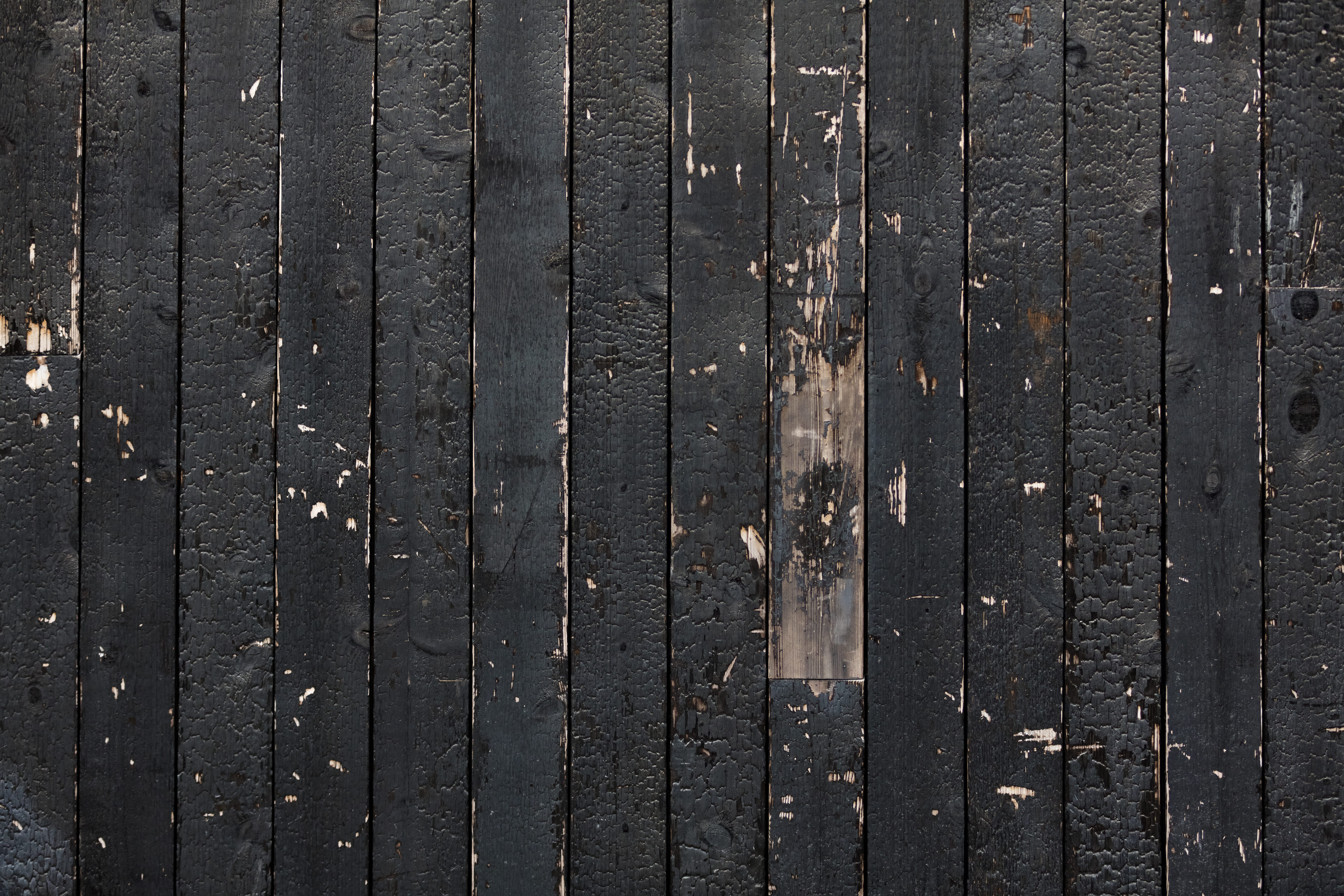 8K, full frame, siding, chipped, close-up, paint, wall - building feature, flooring, fence, close, chip, no people, urban, day, ruin, board, backgrounds, HD Wallpaper