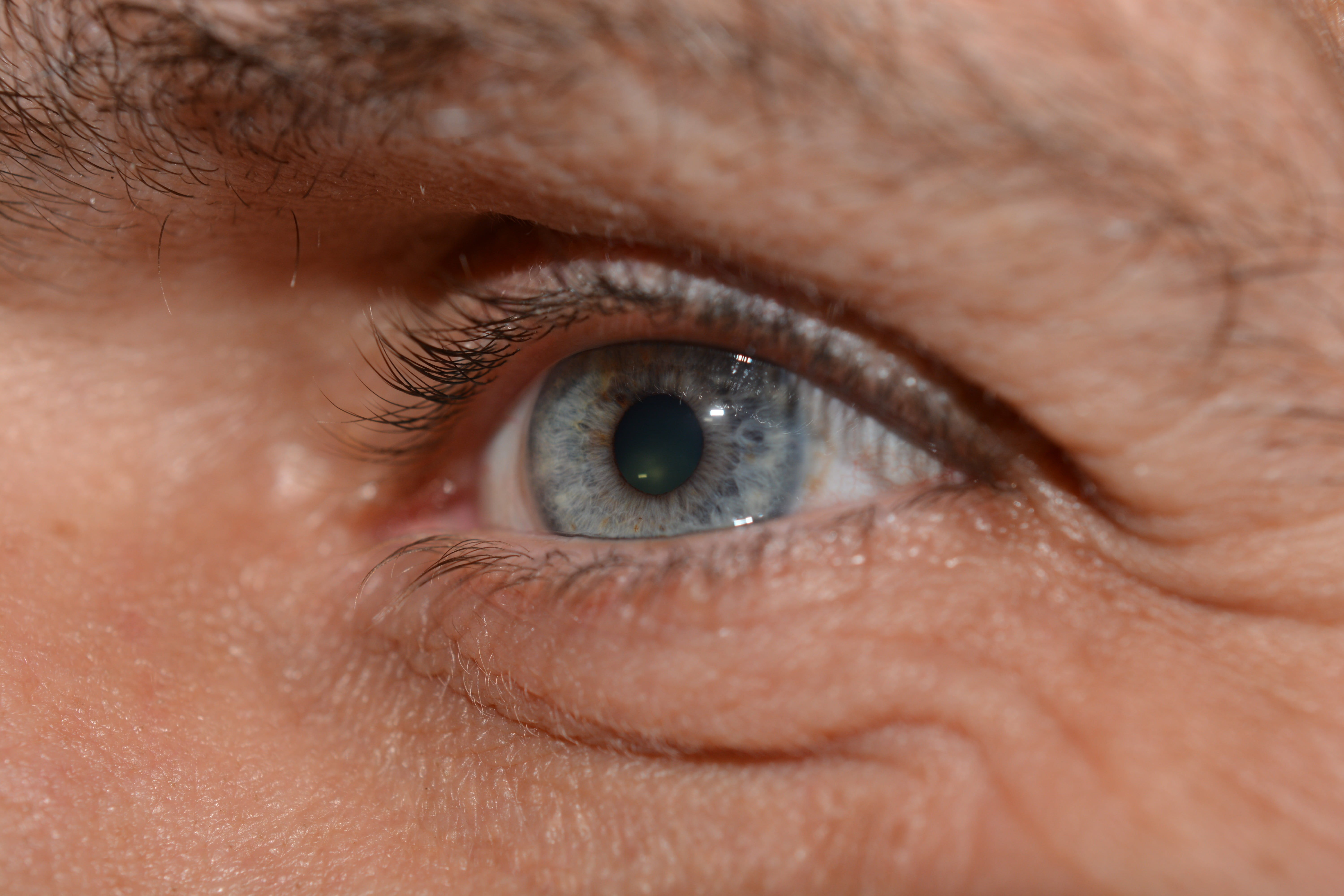 human eye, eyelashes, sensory perception, head, blue, studio shot, eyebrow, human, recognize, view, macro, extreme close-up, see, looking, adult, eyeball, HD Wallpaper
