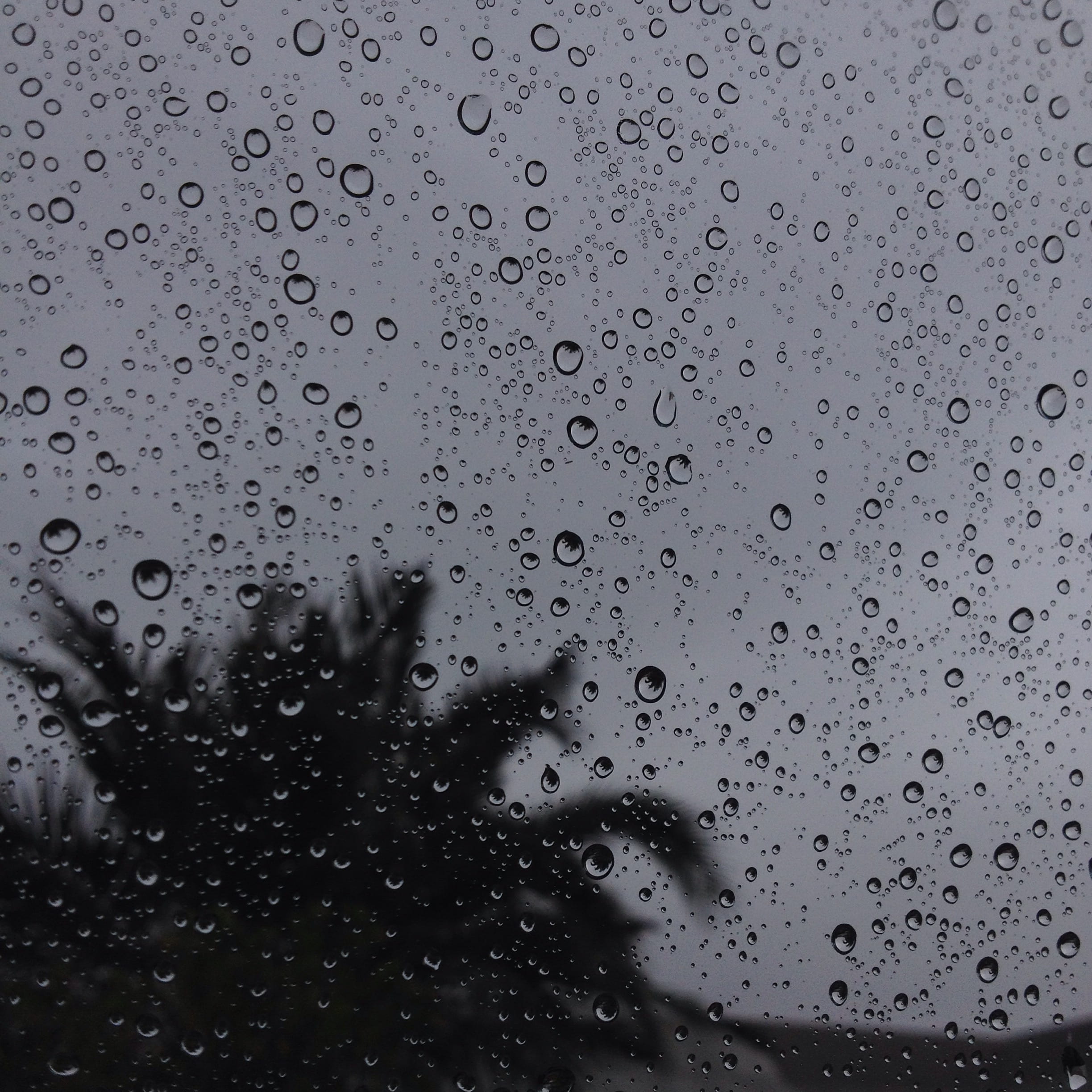 glass, nature, transparent, monsoon, close-up, full frame, every drop of water counts, raindrop, 14 umvumvu dr, simbithi eco estate, window, sky, water, Phone HD Wallpaper