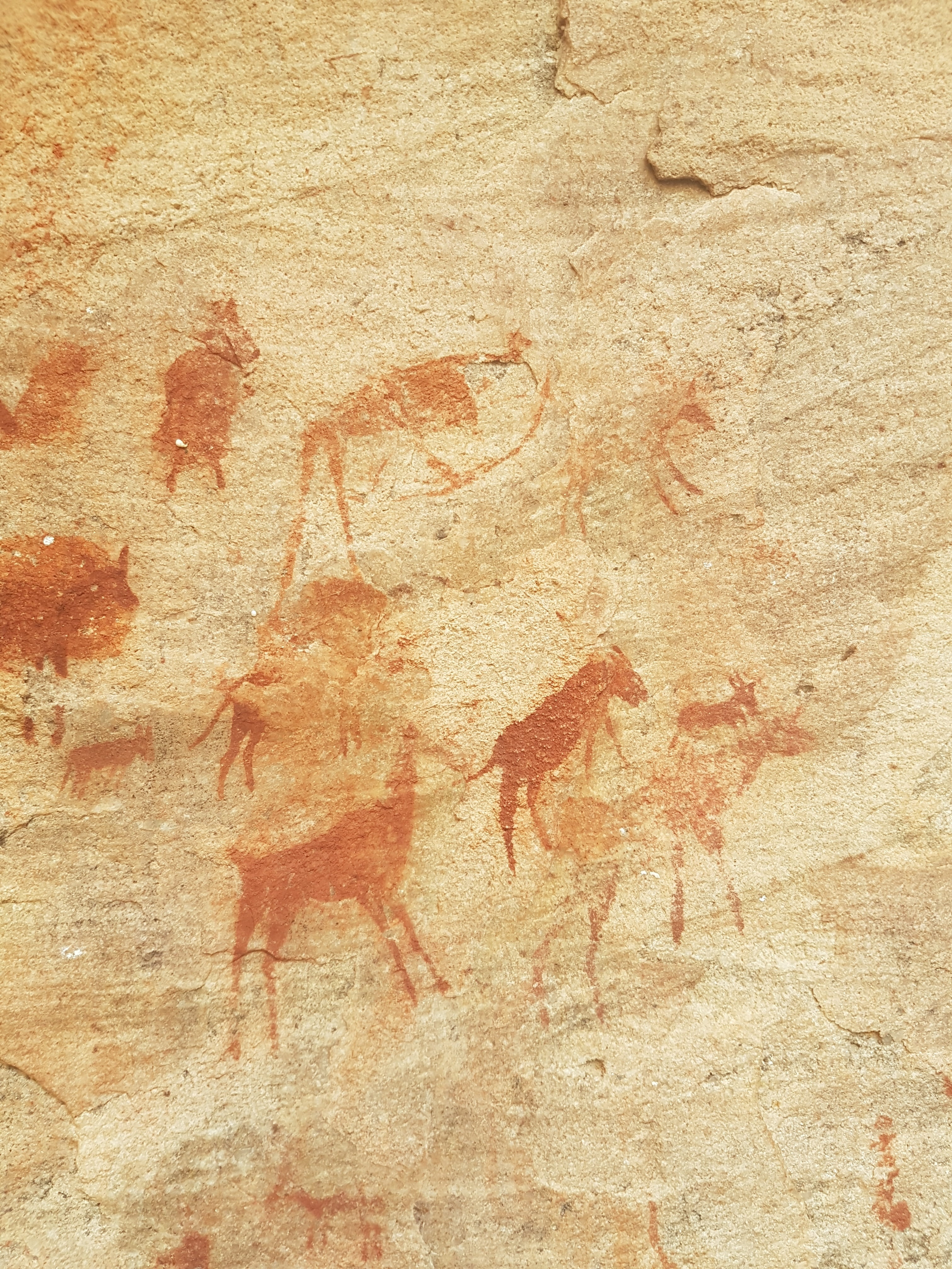 africa, ancient, history, wall - building feature, 4K, painting, animal, creativity, mammal, old, the past, archaeology, land, animal representation, animal themes, Phone HD Wallpaper