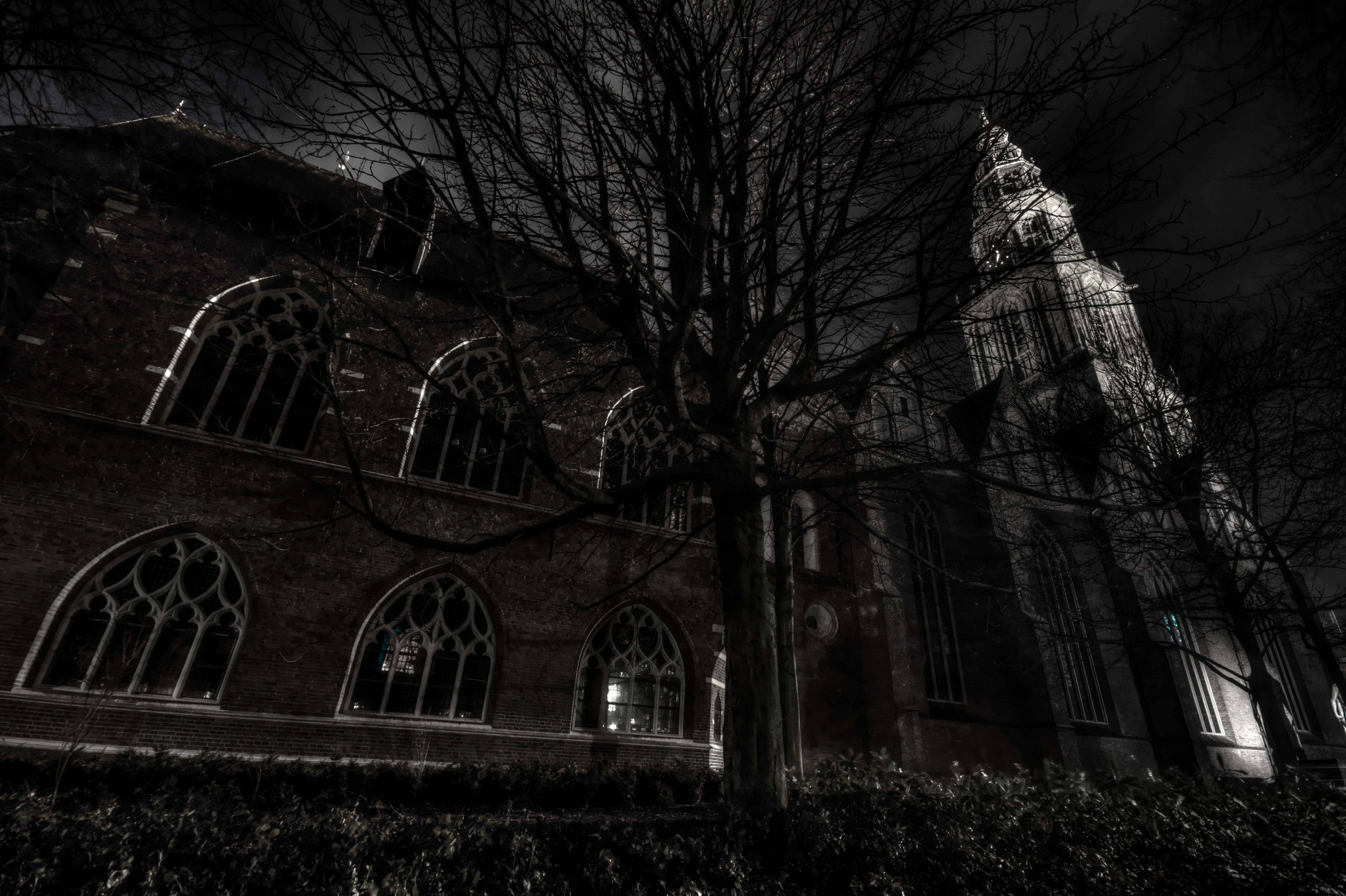 spirituality, building exterior, branch, building, arch, low angle view, history, night, winter, plant, tree, european, gothic Style, architecture, built structure, HD Wallpaper