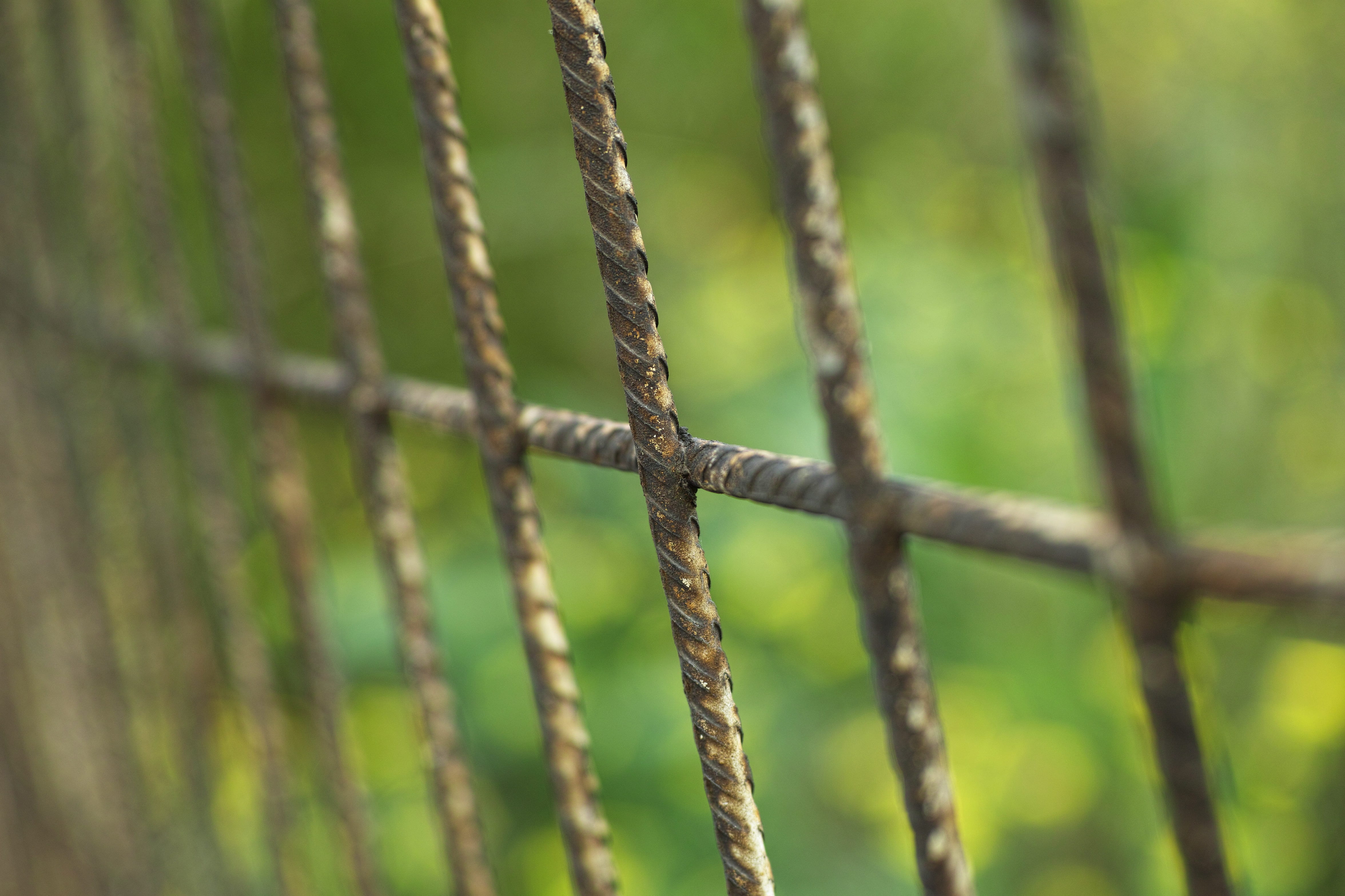 war, rusty, wire, garden, boundary, macro, grass, strength, protection, nobody, barrier, focus on foreground, escape, close-up, day, engel, 4K, HD Wallpaper