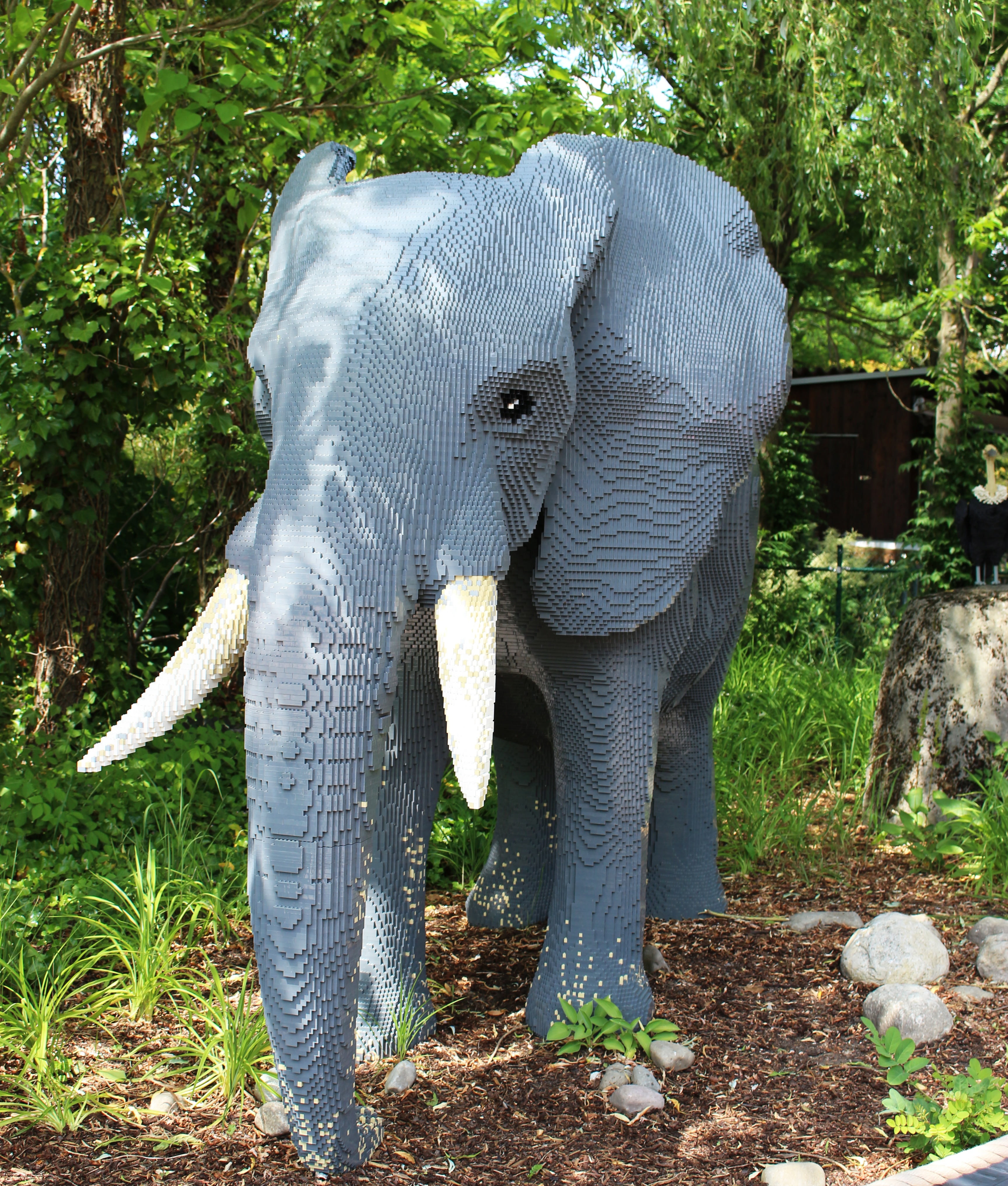 close up, outdoors, nature, build, tree, play, african elephant, animals in the wild, of the city, children, plant, forest, elephant, theme park, field, Phone HD Wallpaper