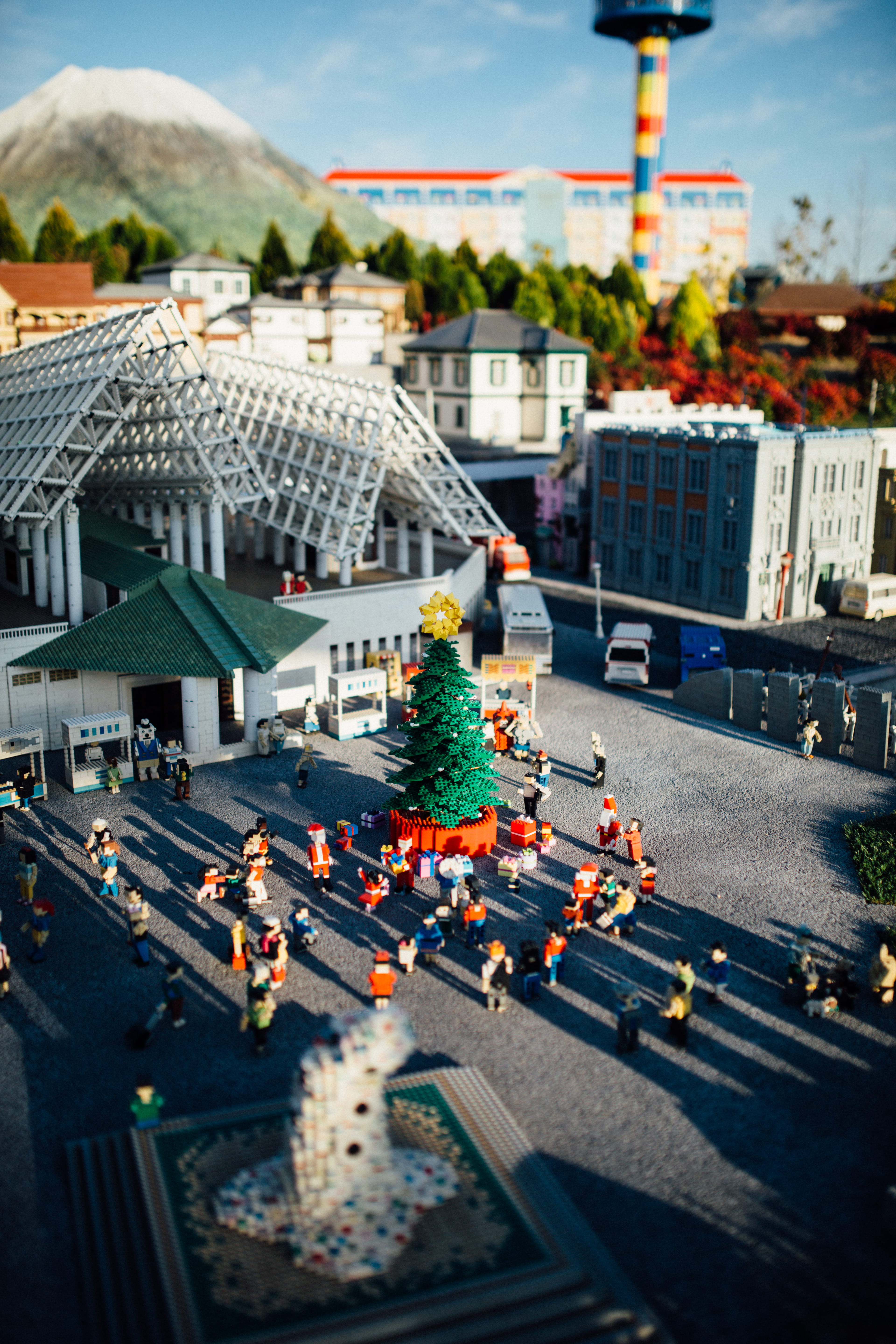 day, pedestrian, outdoors, transportation, landscape, christmas tree, city life, asphalt, mode of transportation, city, roof, nature, building, building exterior, Phone HD Wallpaper