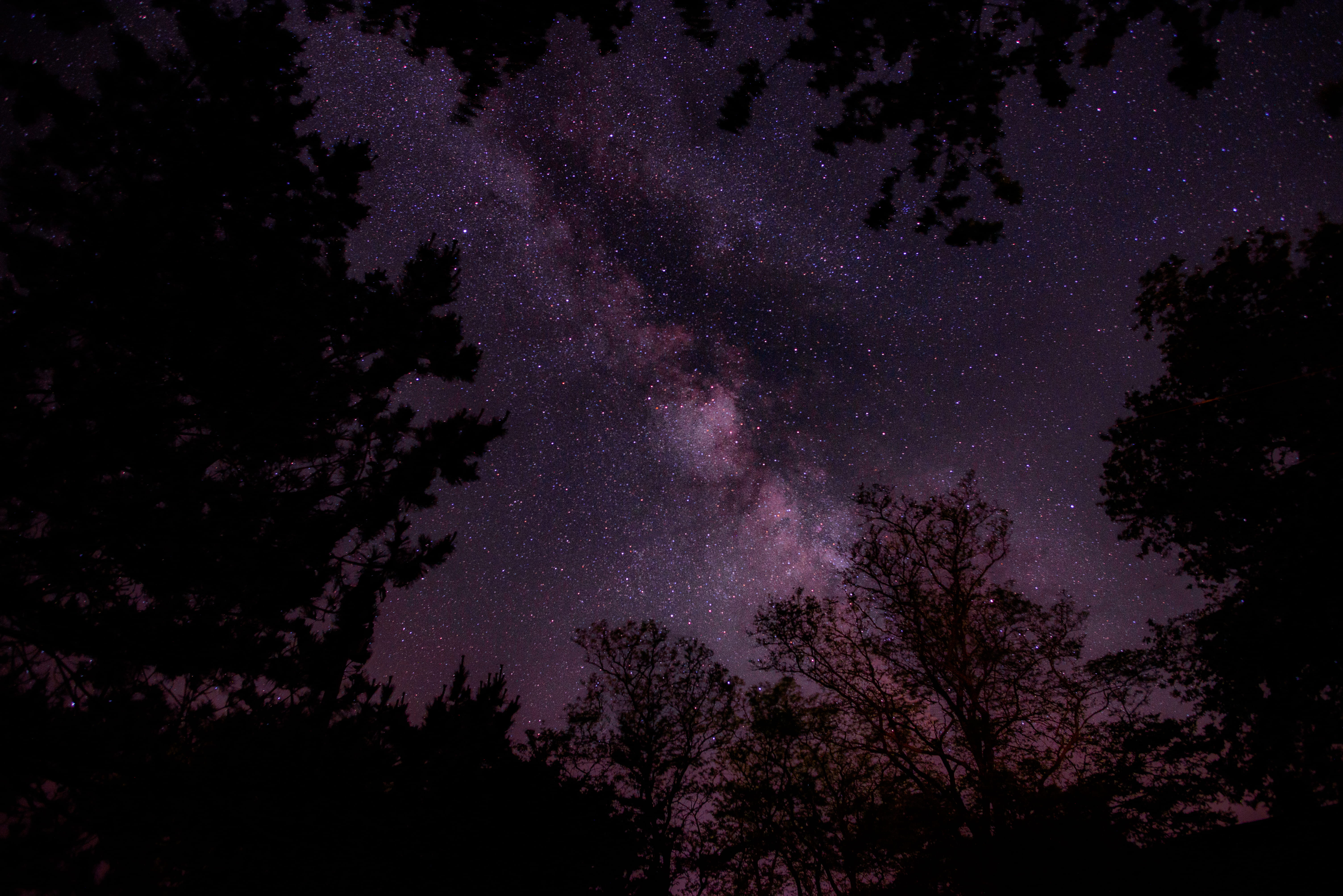 star field, night, star - Space, beauty in nature, nature, moon, low angle view, afraid, outdoors, sky, constellation, no people, milky Way, purple, nighttime, HD Wallpaper
