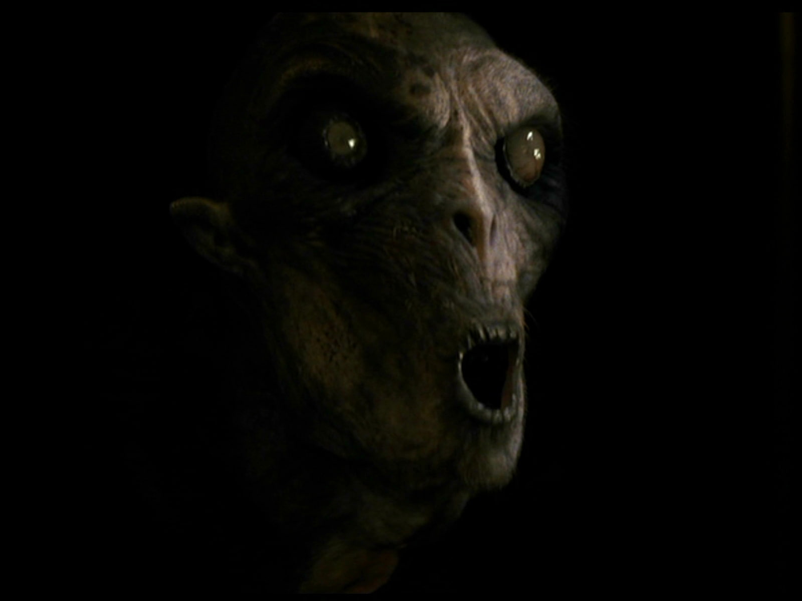 Movie, 720P, Dont Be Afraid Of The Dark, HD Wallpaper
