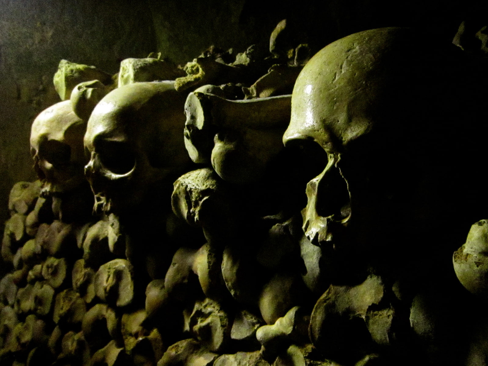 skull, dark, horror, 720P, dont be afraid of the dark, afraid, HD Wallpaper