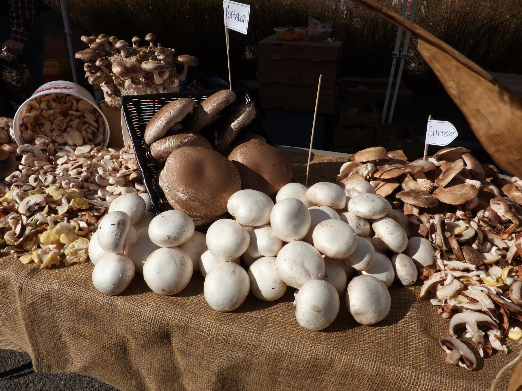 edible, choice, food, gray, cultivated, market stall, small business, ripe, still life, table, jute, raw, fungi, food and drink, nutritional, indoors, 1080P, HD Wallpaper