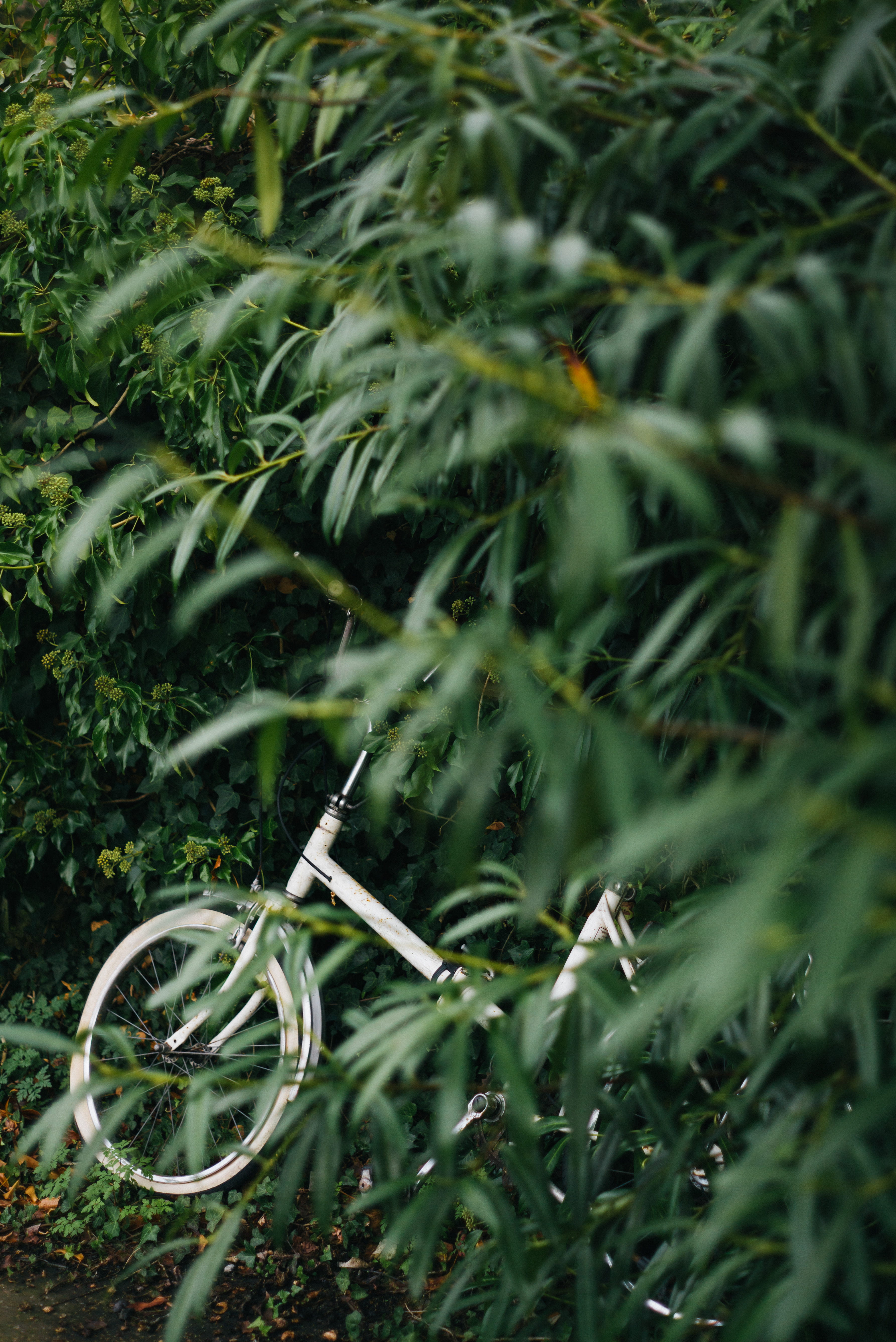 green, close-up, dirty, outdoors, beauty in nature, bike, riding, tree, daytime, day, plant, tranquility, high angle view, field, no people, hidden bike, Phone HD Wallpaper