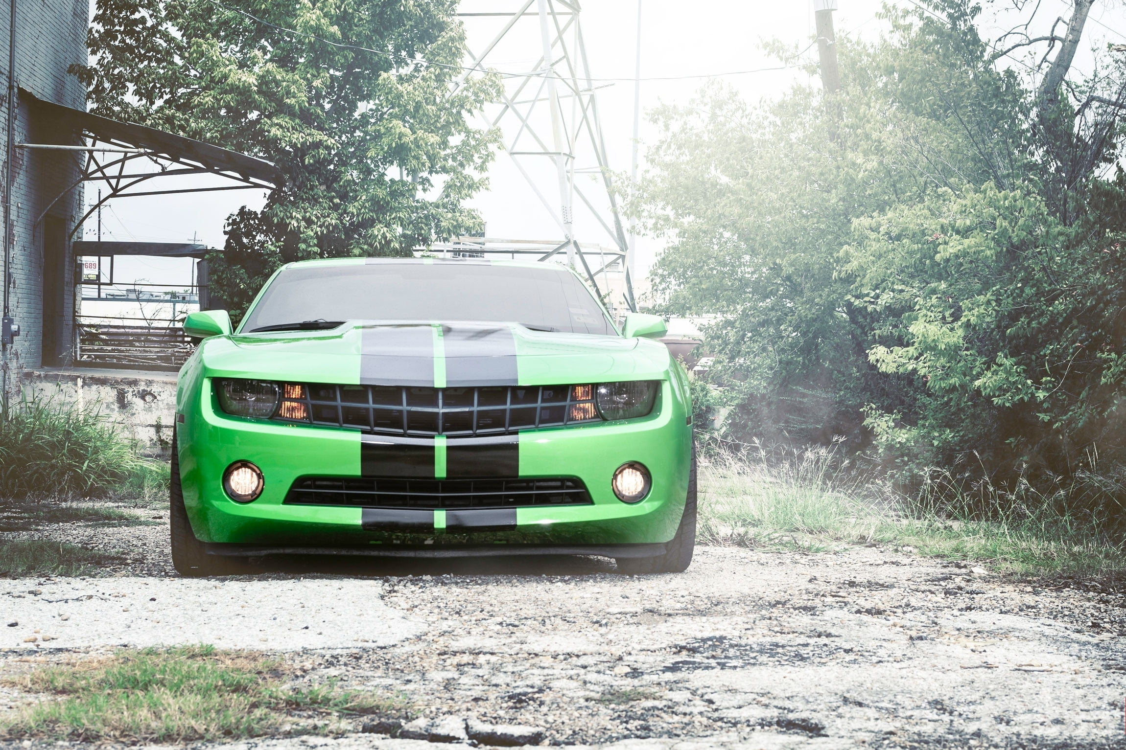 retro styled, nature, street, city, new, built structure, camaro, outdoors, 1080P, motor Vehicle, people Traveling, green, green Color, front, wheel, speed, HD Wallpaper