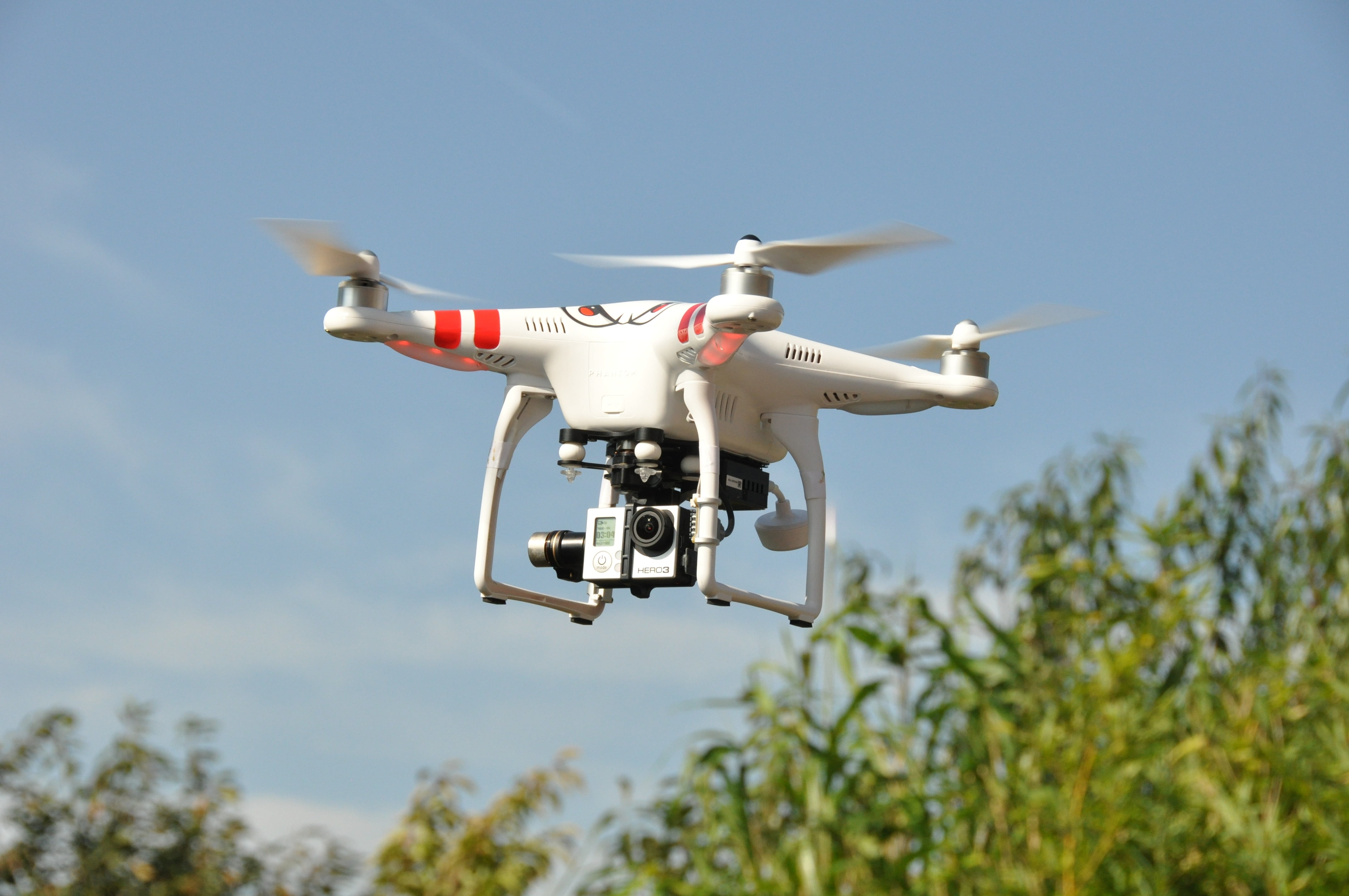 transportation, mode of transportation, propeller, airplane, above, no people, hovering, air, day, air Vehicle, dji, aerial photo, tree, near, quadrocopter, HD Wallpaper
