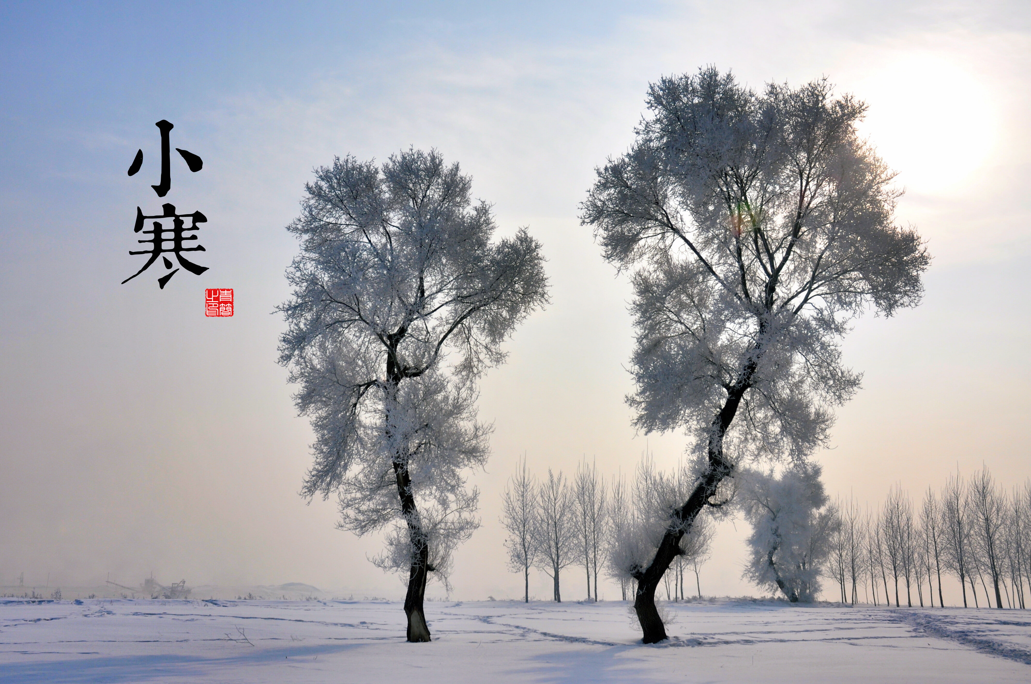 snow, 4K, solar terms, HD Wallpaper