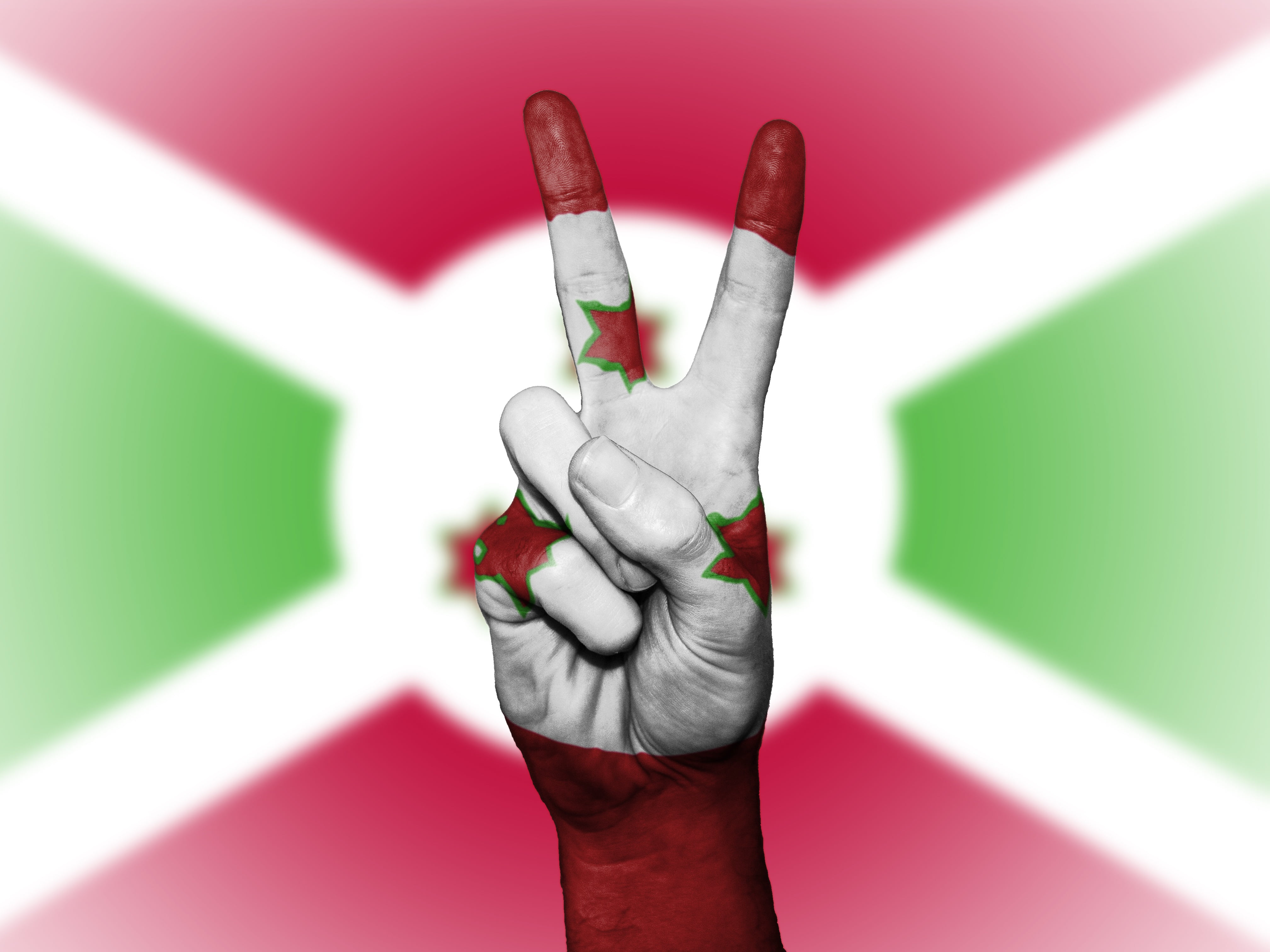 ensign, colors, banner, travel, symbol, state, country, background, art and craft, body part, indoors, pink color, human hand, flag, hand, education, national, HD Wallpaper
