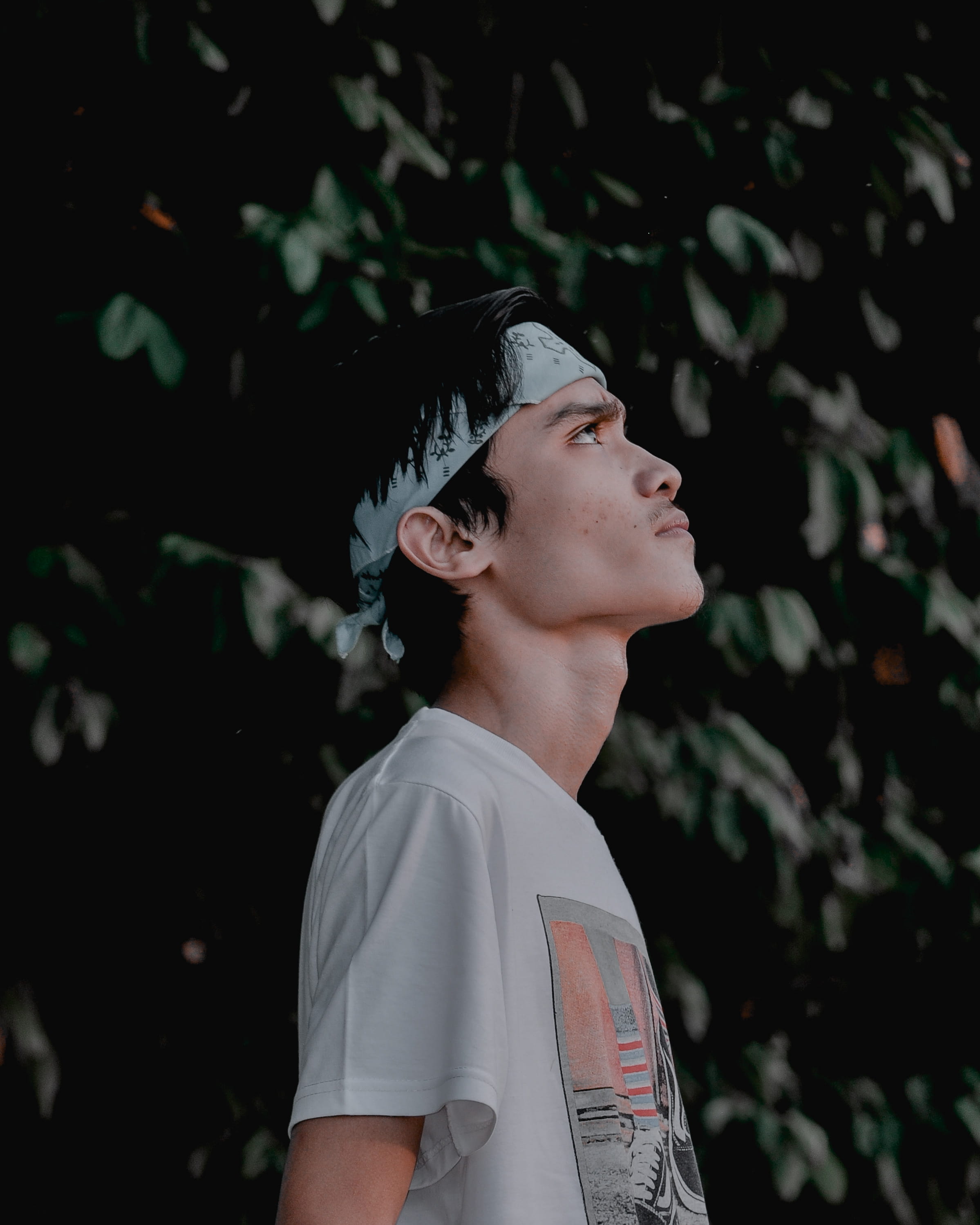 hair, looking, waist up, young men, portrait, headshot, white, skin, standing, looking up, tree, t-shirt, leaf, shirt, 2K, flower, sunlight, wearing, long sleeve, Phone HD Wallpaper