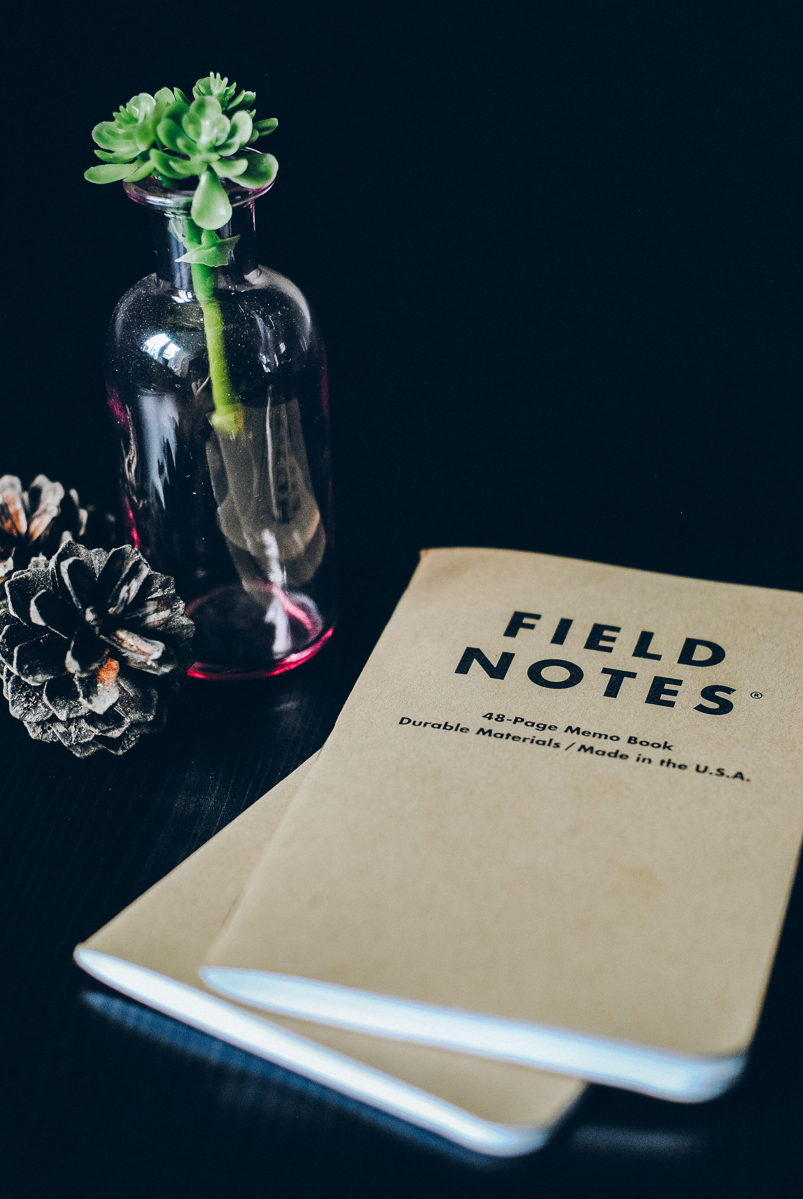near, work, pine cone, freshness, 4K, field note, vase, flower, flowering plant, field, table, fashion, writing, black background, western script, still life, Phone HD Wallpaper