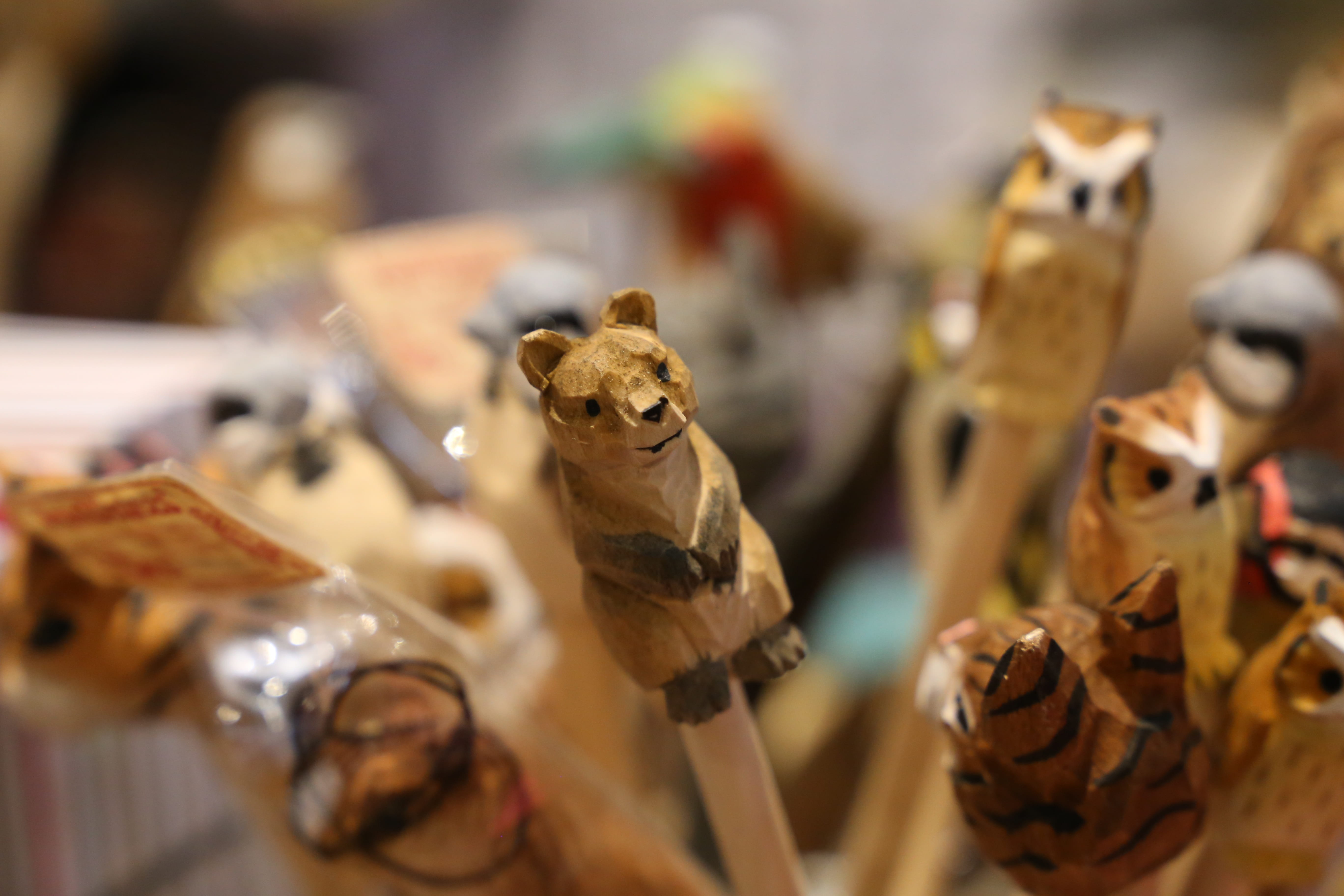pencils, wild, sell, close-up, bear, wildlife, animal, animals, funny, selective focus, organic, small, creativity, collection, art and craft, shop, giraffe, HD Wallpaper