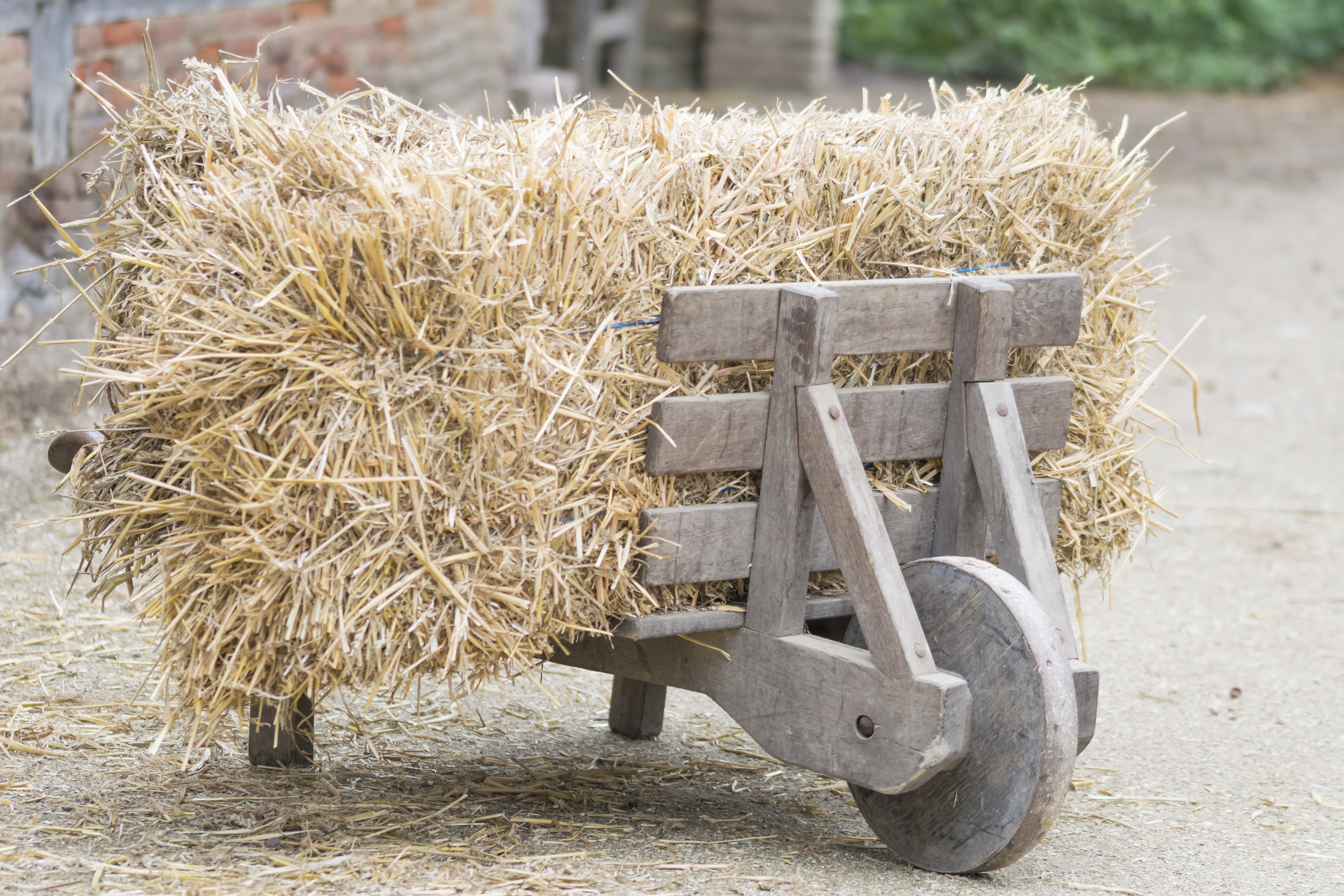 nature, farmers, agriculture, lug, 5K, wood - material, cart, land vehicle, transportation, countryside, antique, straw, outdoors, wheel, focus on foreground, HD Wallpaper