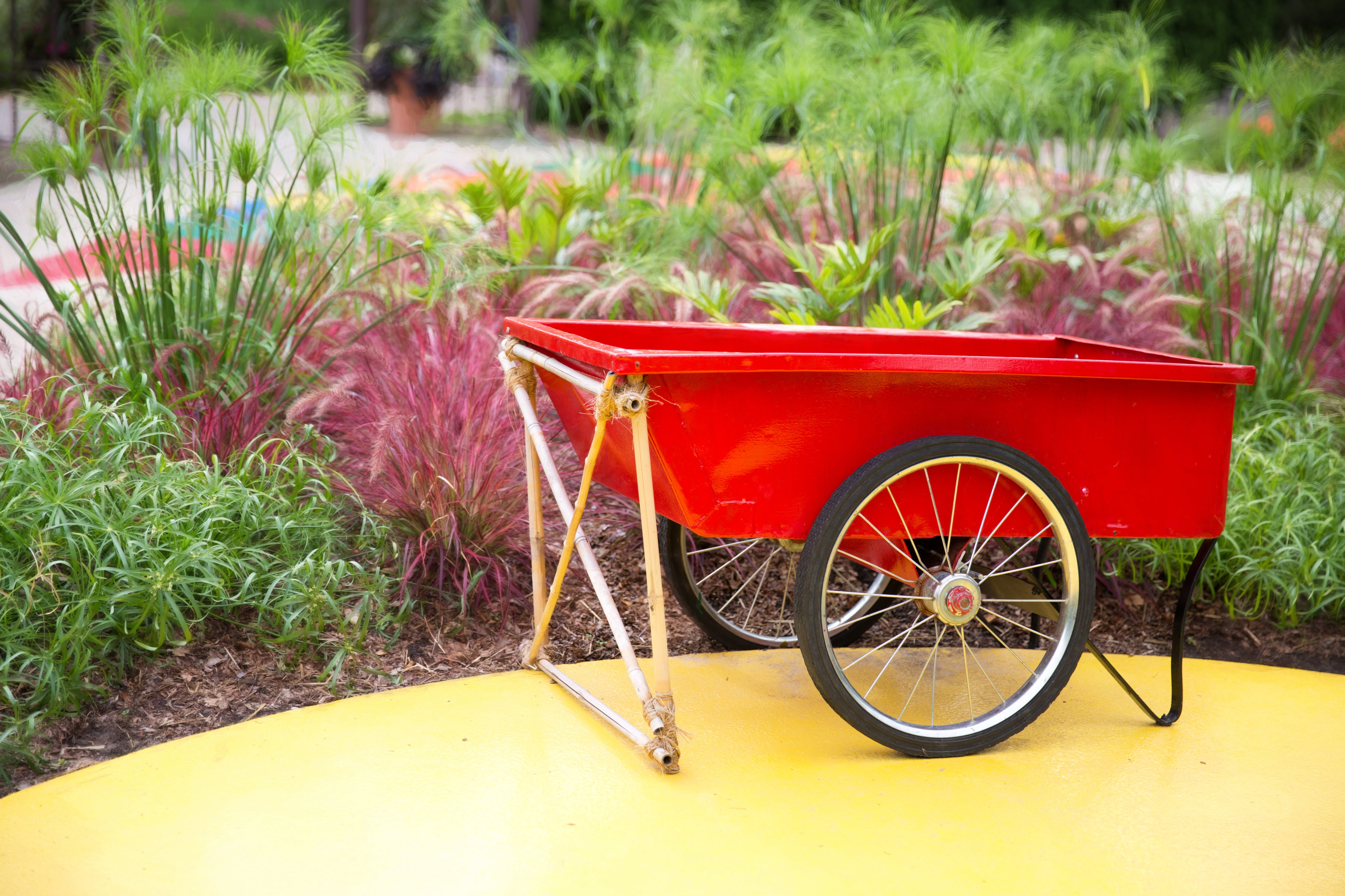 front or back yard, wheel, green, plant, field, growth, red wheel barrow, green color, day, land vehicle, gardening, nature, 5K, land, summer, transportation, HD Wallpaper