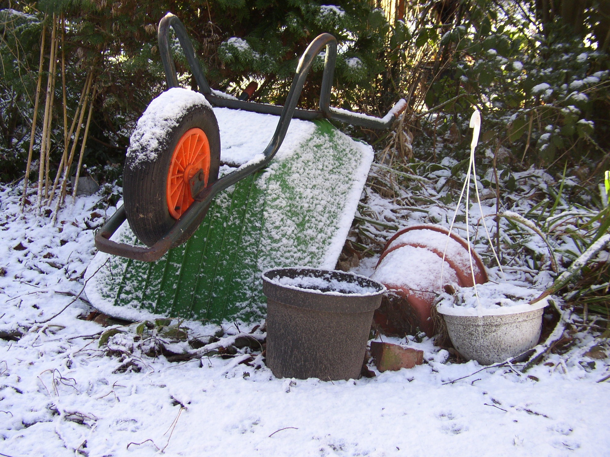container, nature, wood - material, cold temperature, frost, snowflake, field, barrow, snow, garden, tree, 1080P, winter, food and drink, plant, wood, HD Wallpaper