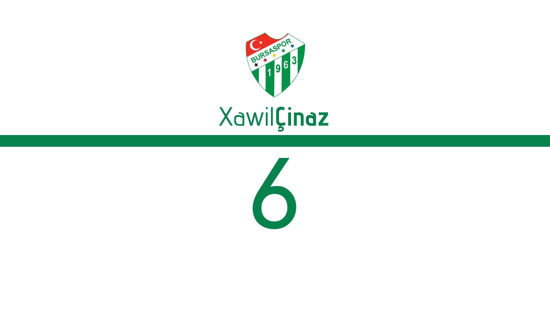 football, logo, 1080P, 1920x1080, bursaspor, HD Wallpaper