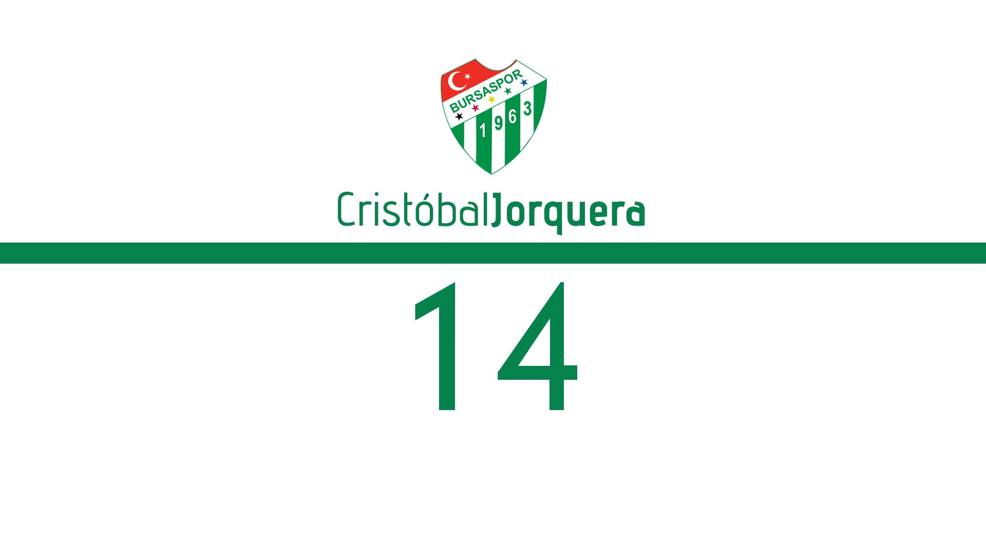 Bursaspor, 1080P, HD Wallpaper