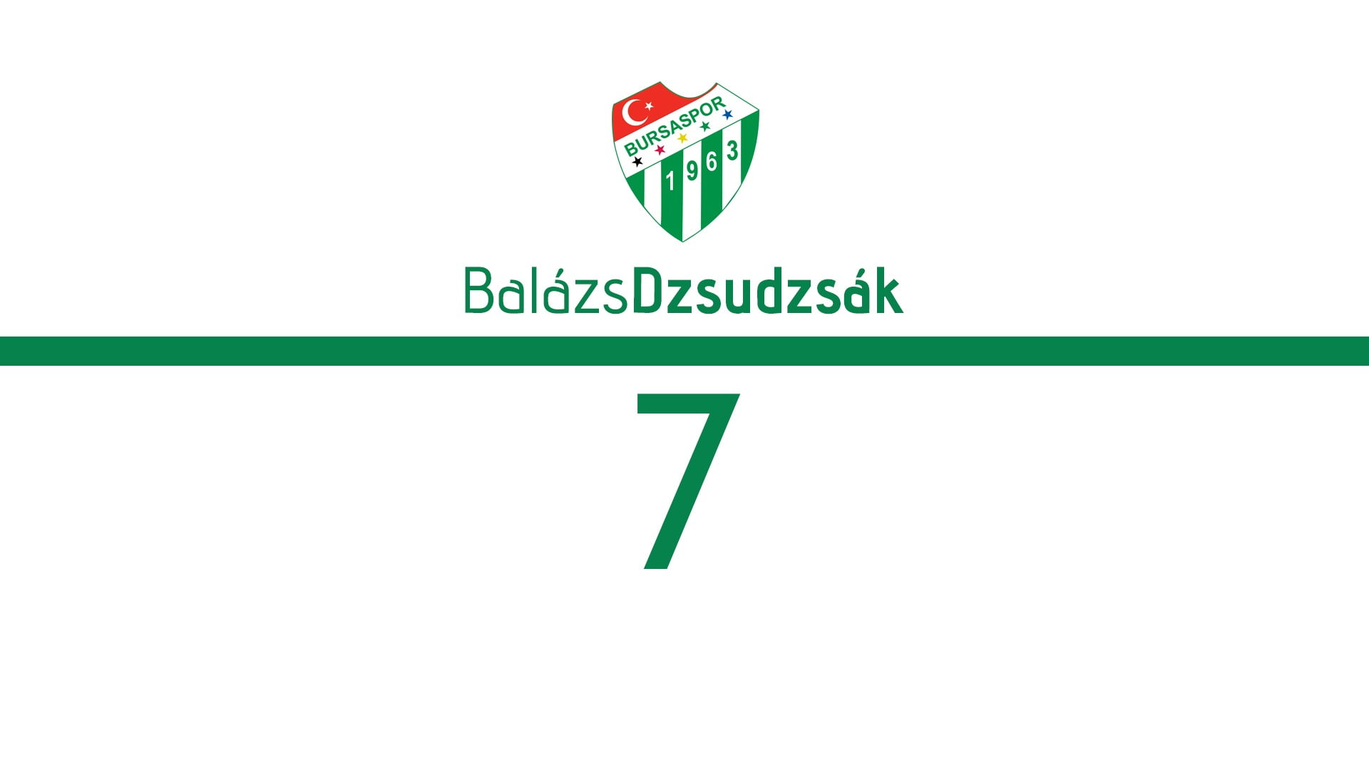 Bursaspor, 1080P, HD Wallpaper