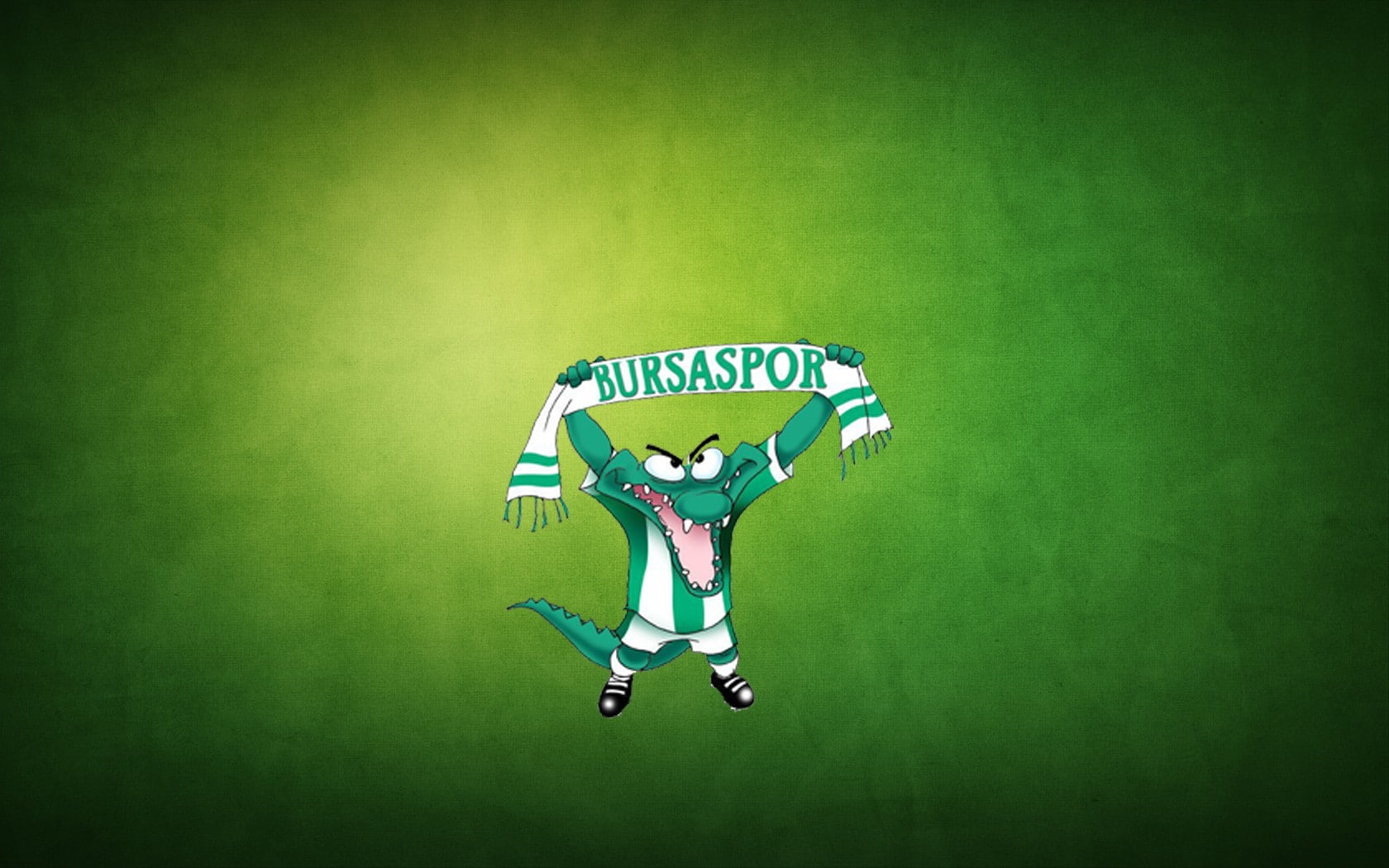 720P, Bursaspor, HD Wallpaper