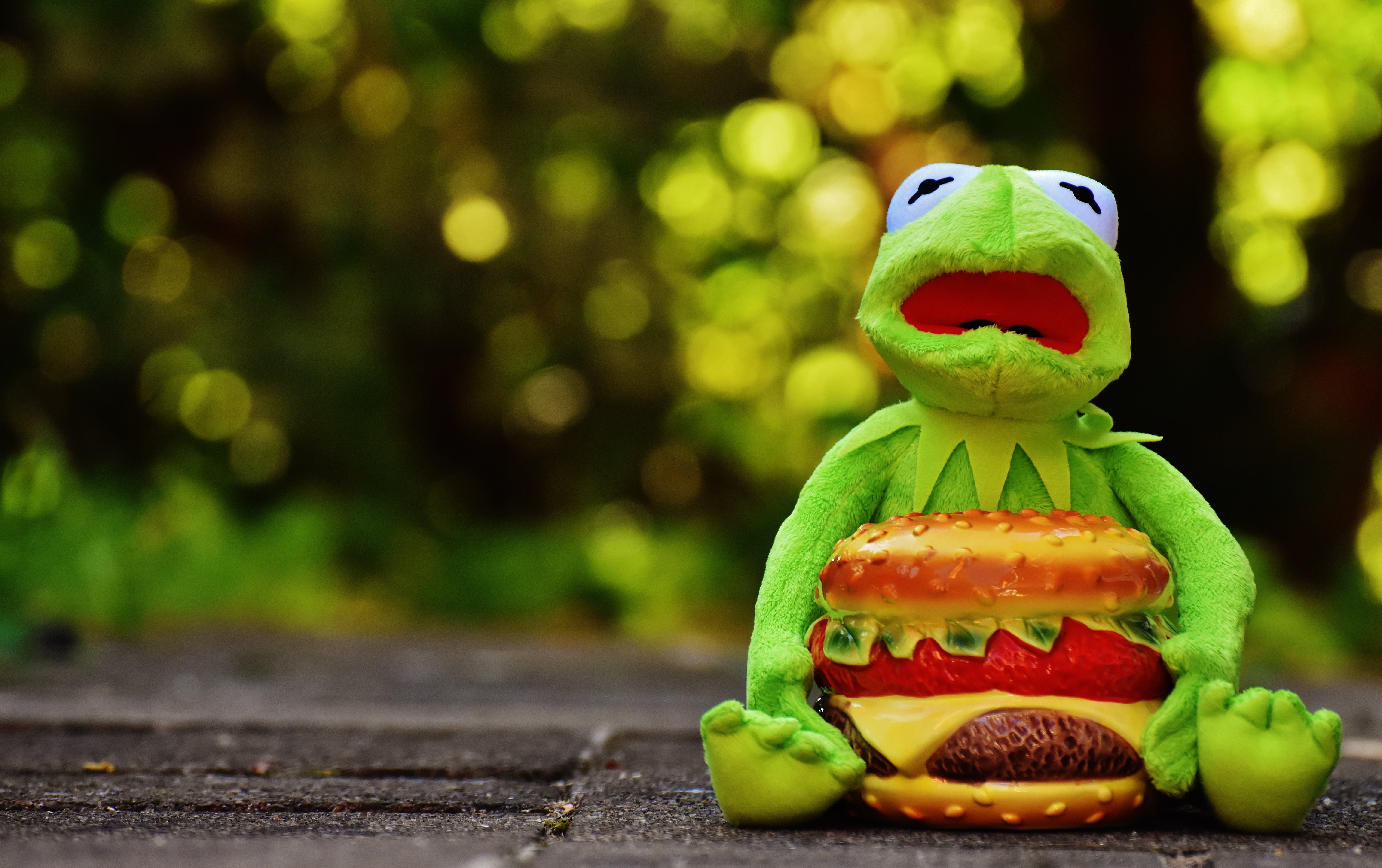 day, kermit, animal, unhealthy eating, children, fruit, humor, hamburger, sweet food, fun, focus on foreground, celebration, 5K, anthropomorphic face, HD Wallpaper