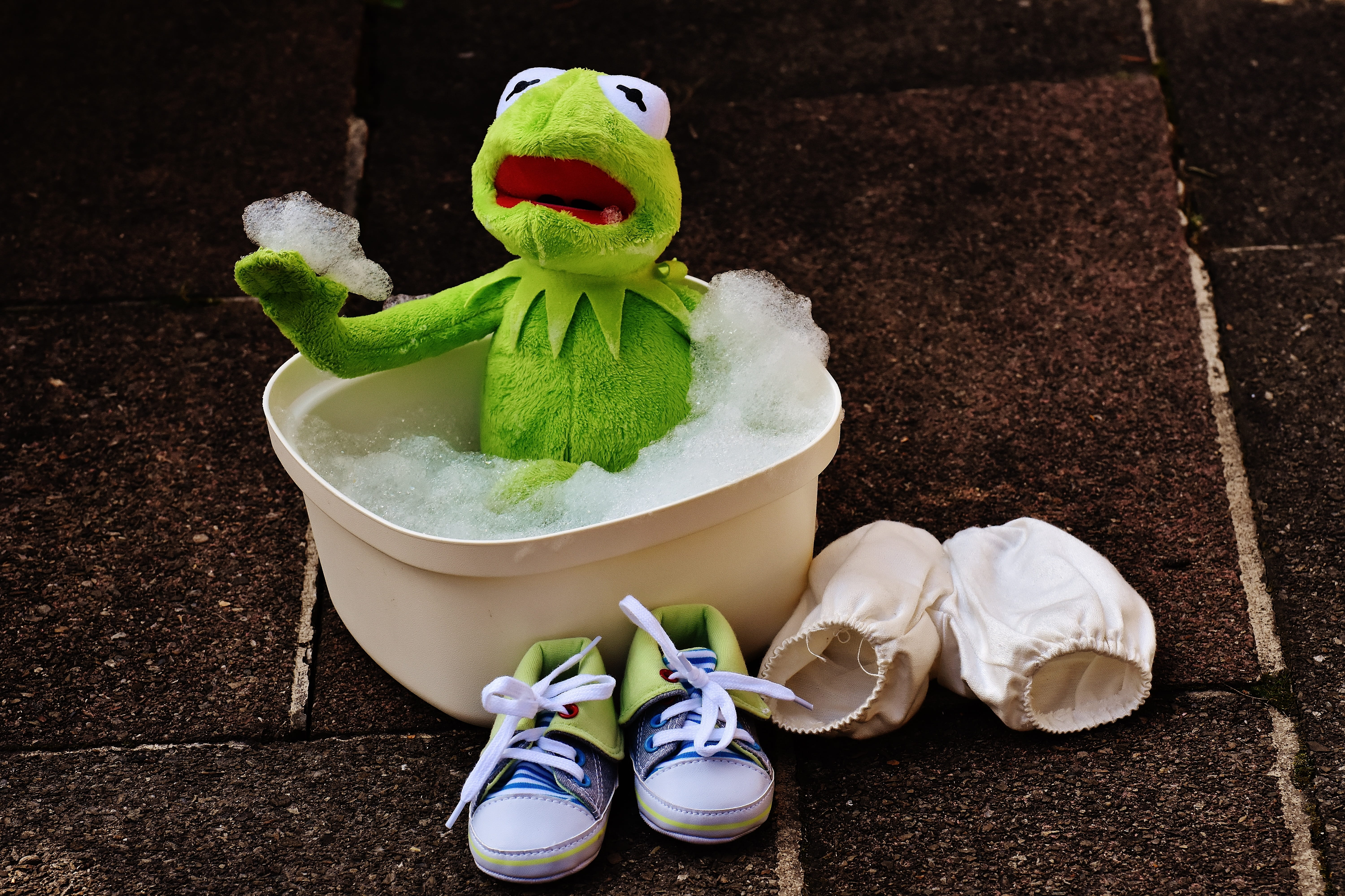 close-up, bath water, white color, bath foam, water, nature, frog, wash, table, swim, day, kermit, relax, clean, art and craft, animal representation, frothy, HD Wallpaper
